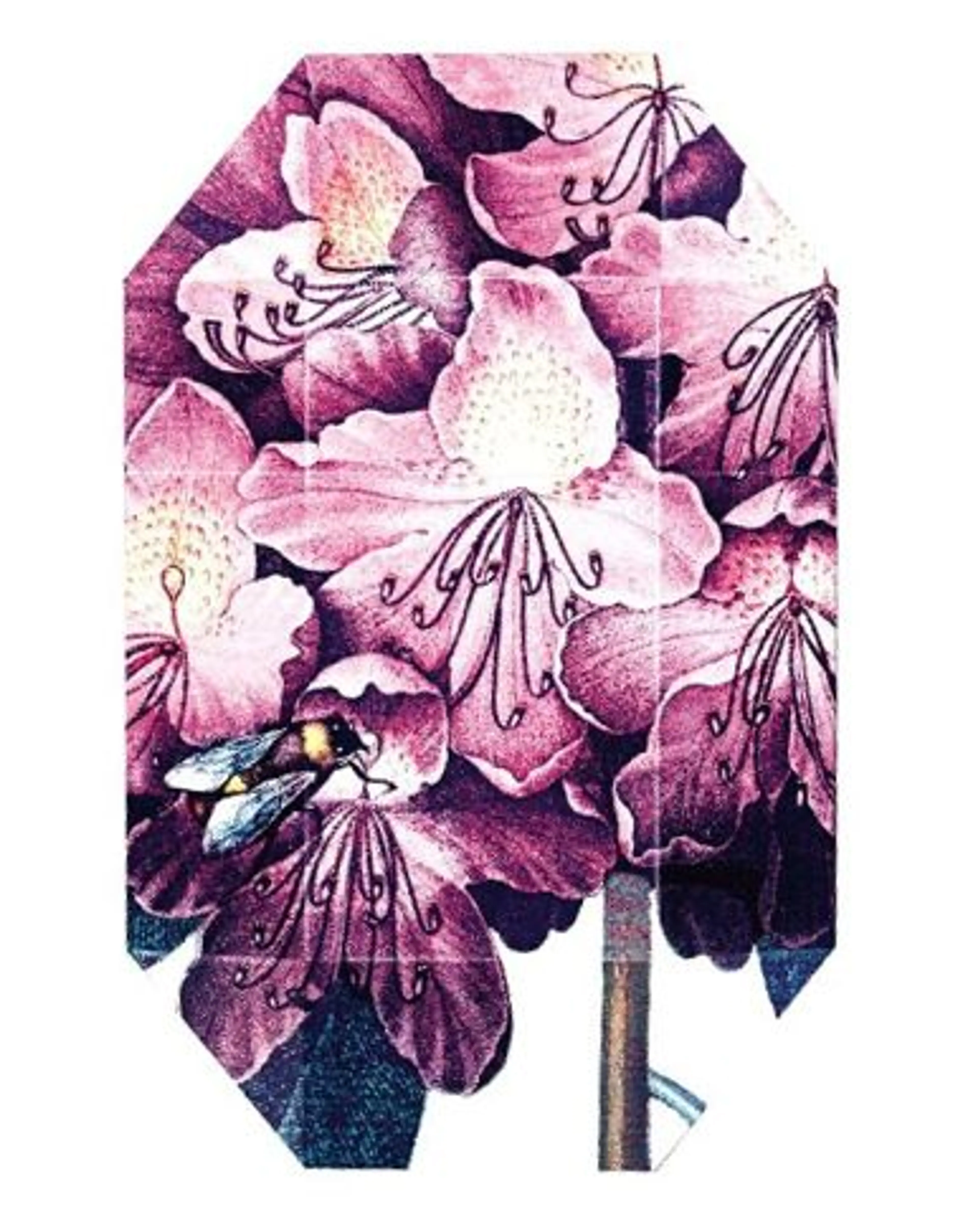 Print Collection Stella 01 (2011)