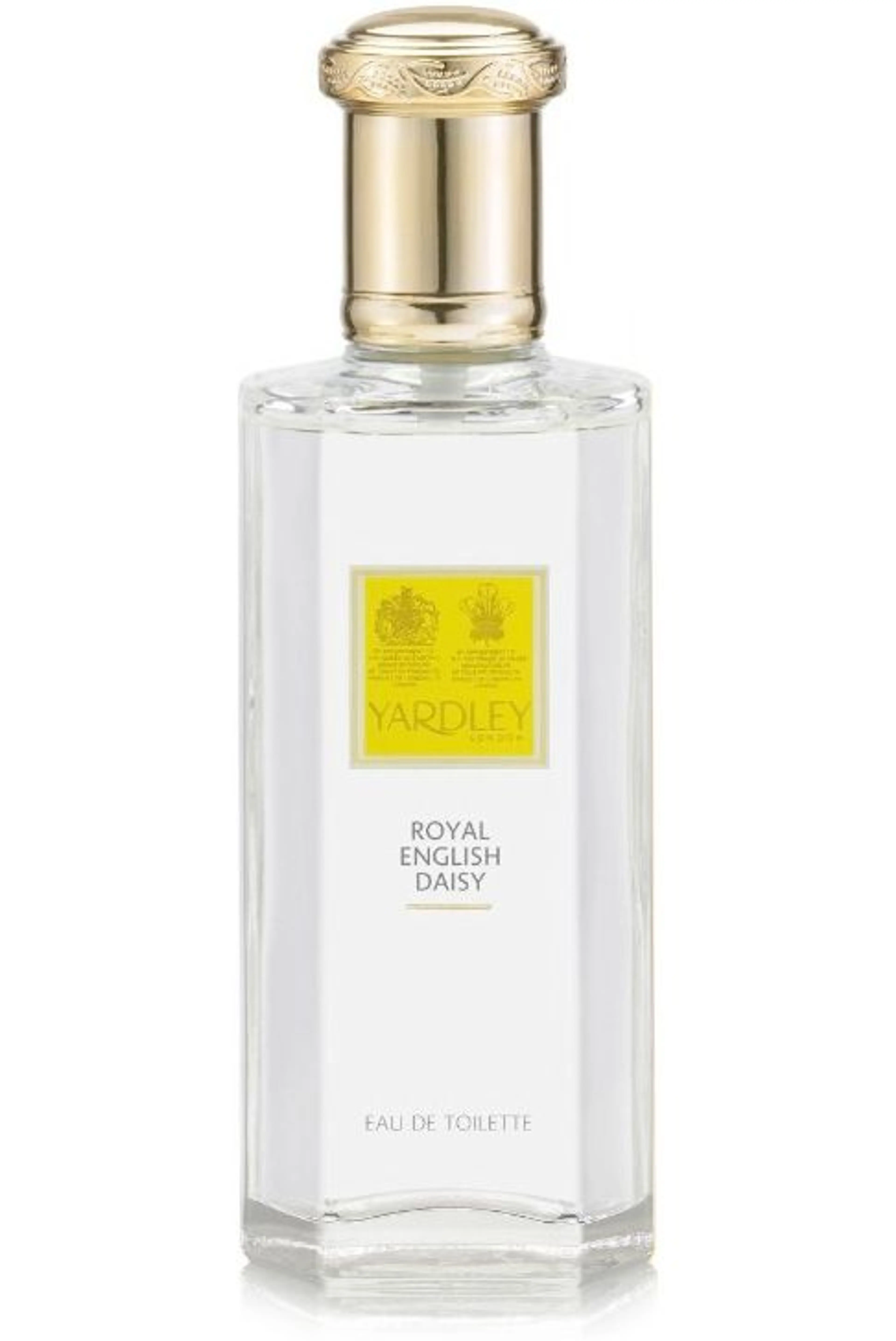 Royal English Daisy