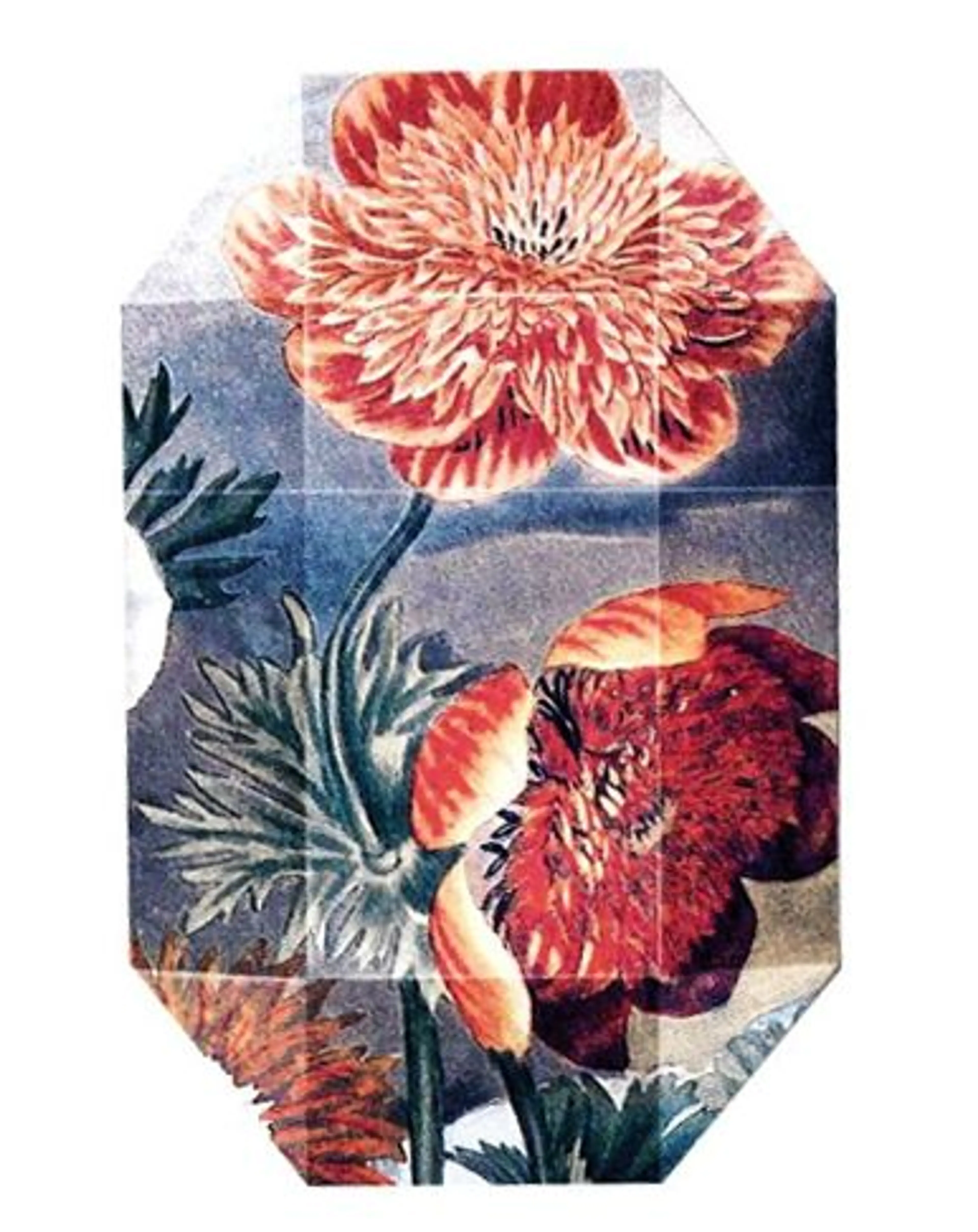 Print Collection Stella 03 (2011)