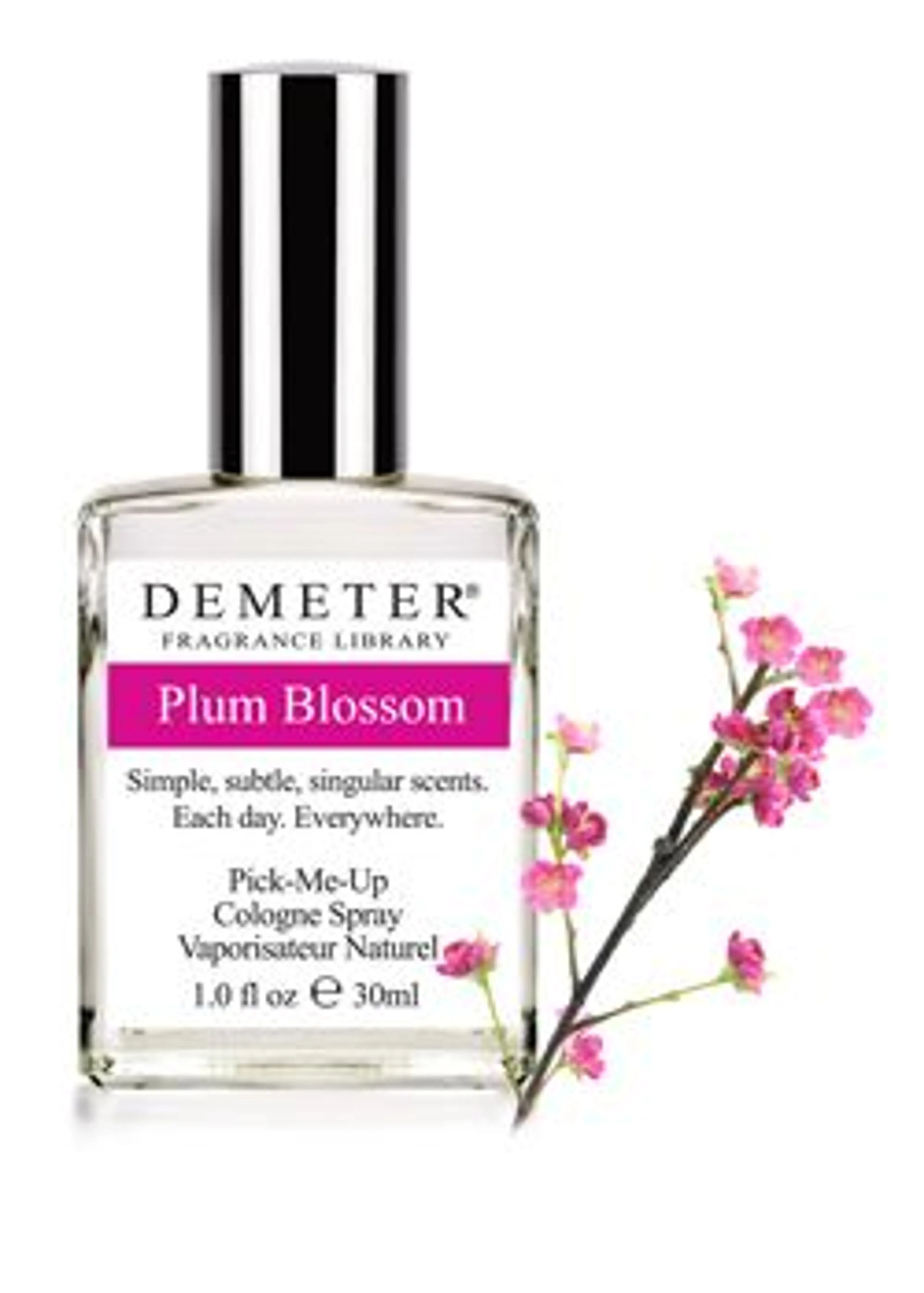 Plum Blossom