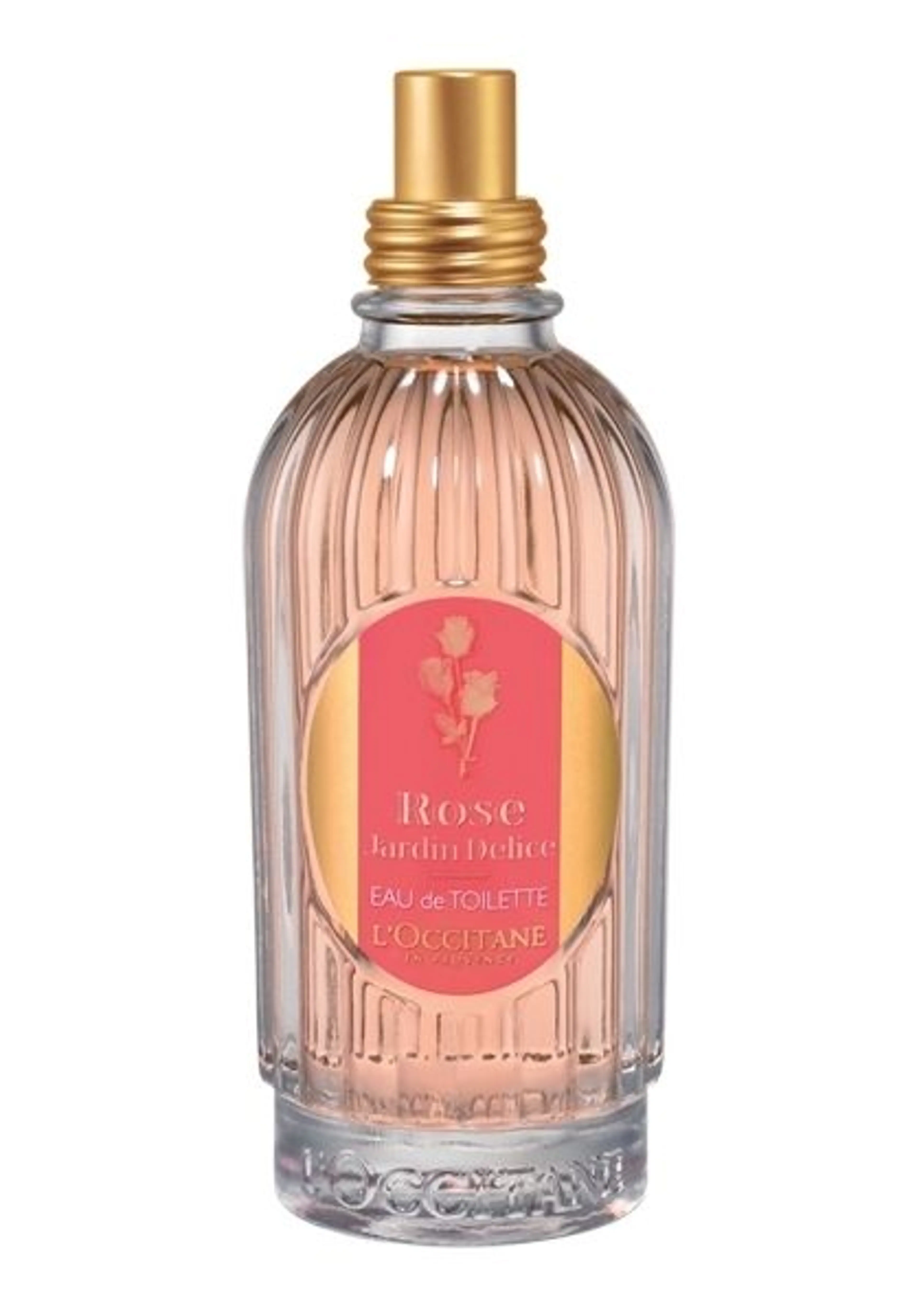 Rose Jardin Delice