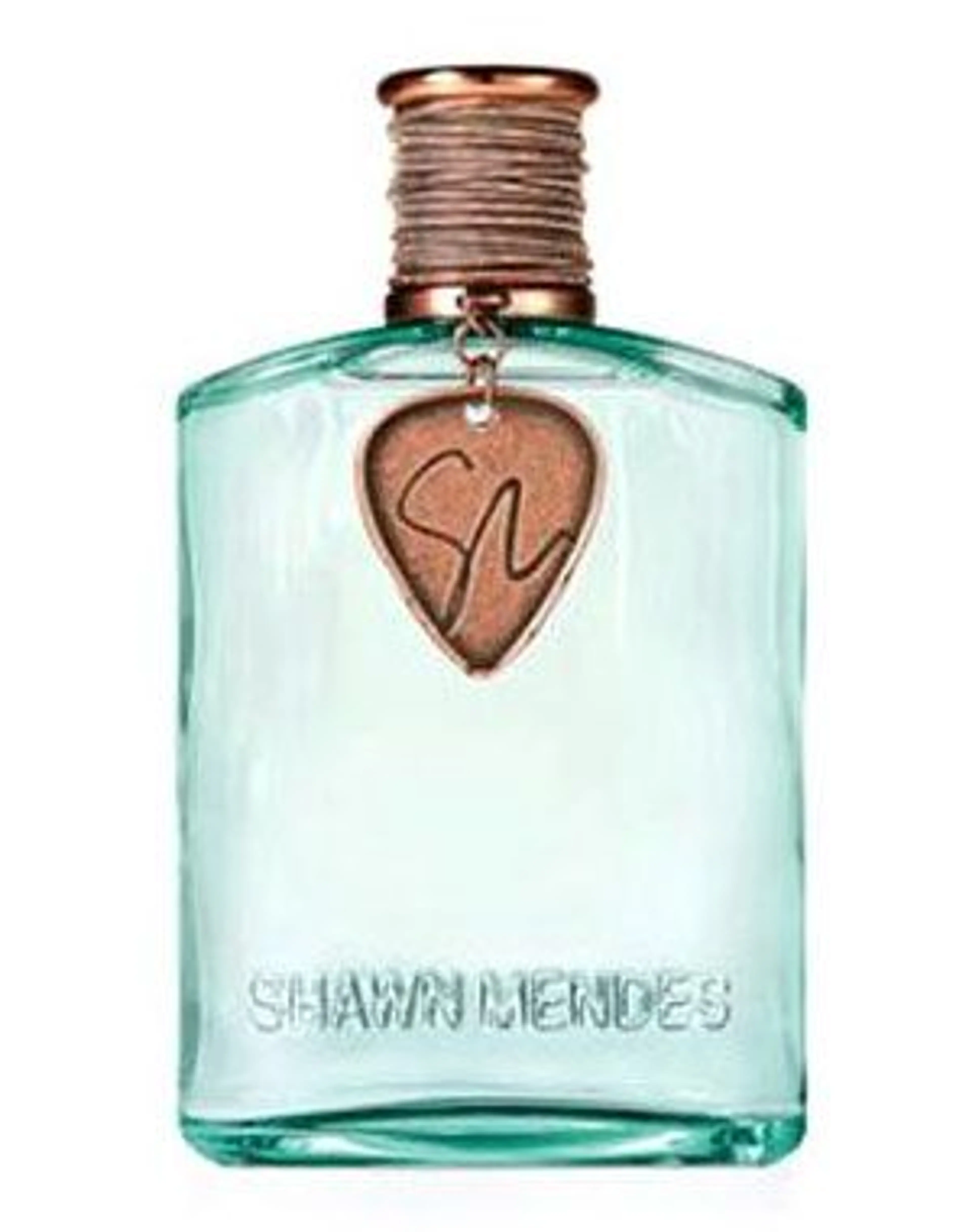 Shawn Mendes Signature