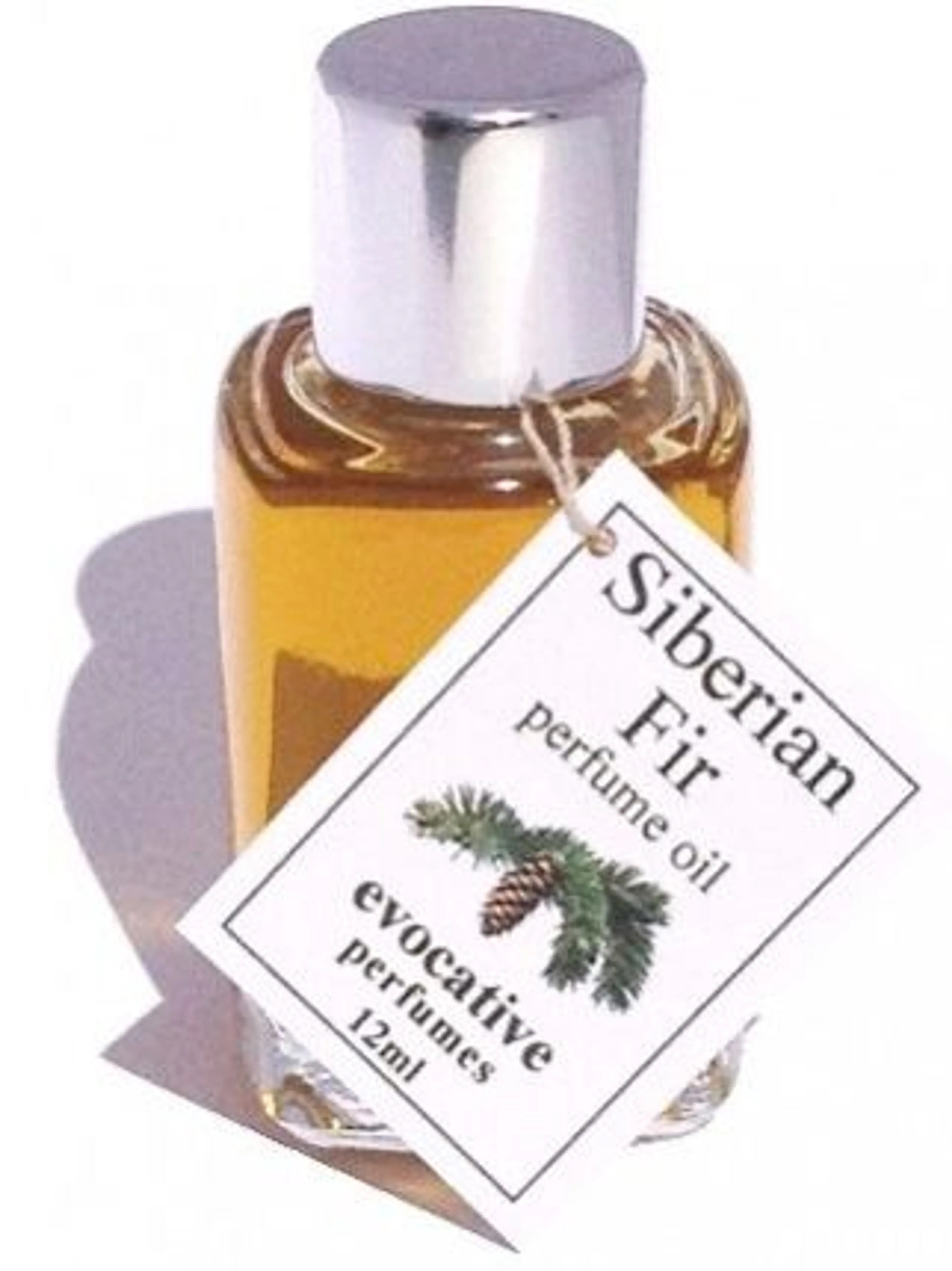 Siberian Fir