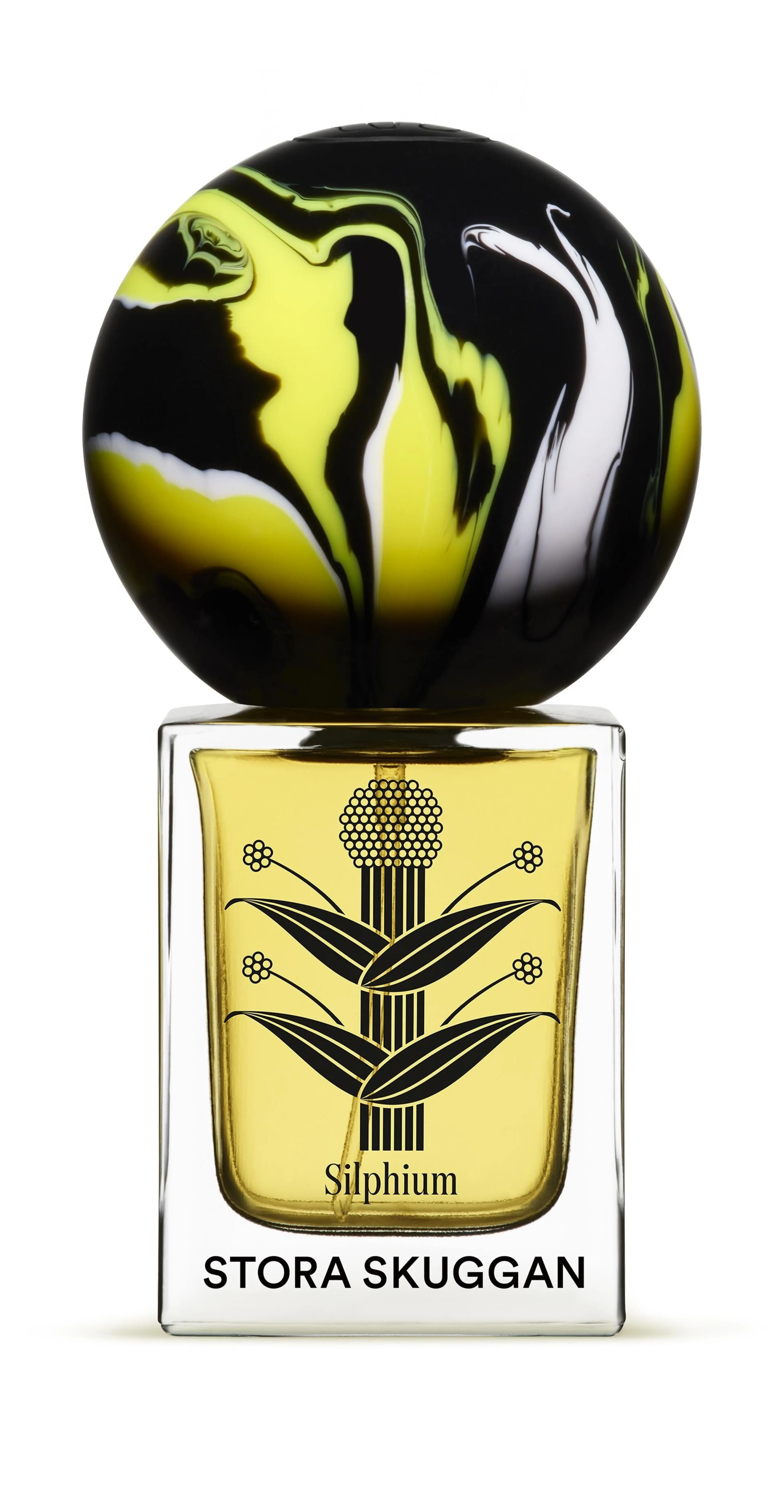 Silphium