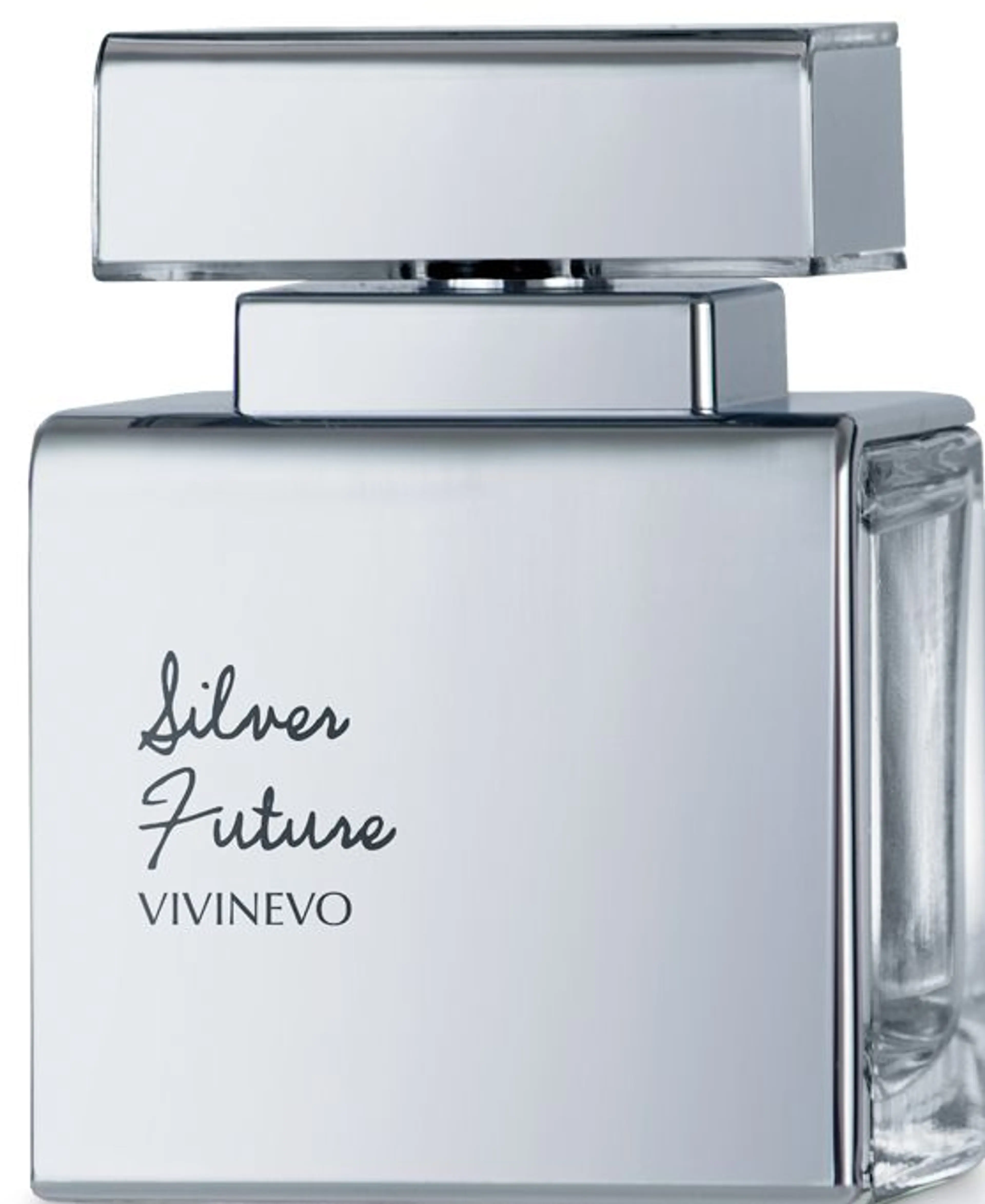Silver Future
