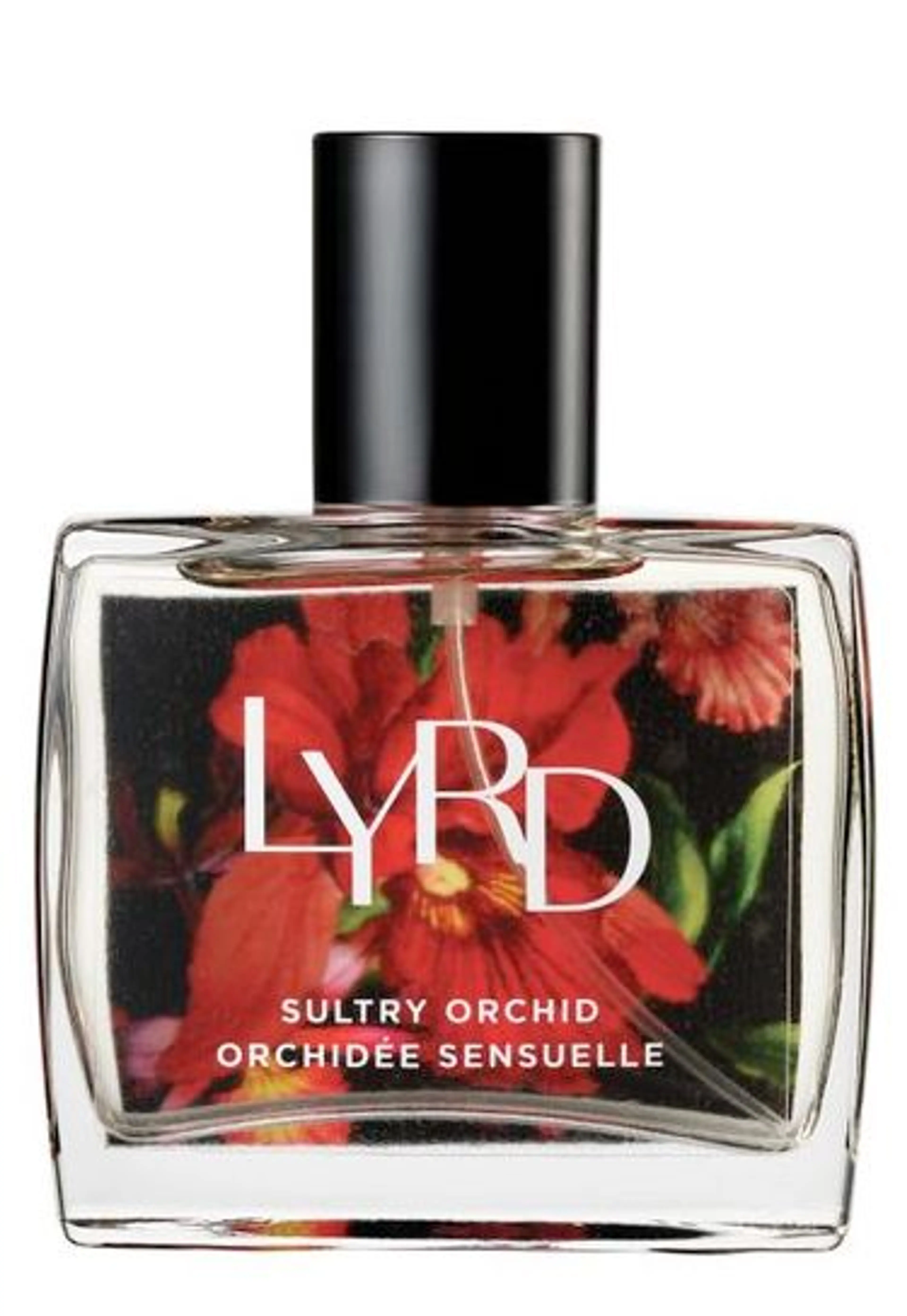 Sultry Orchid