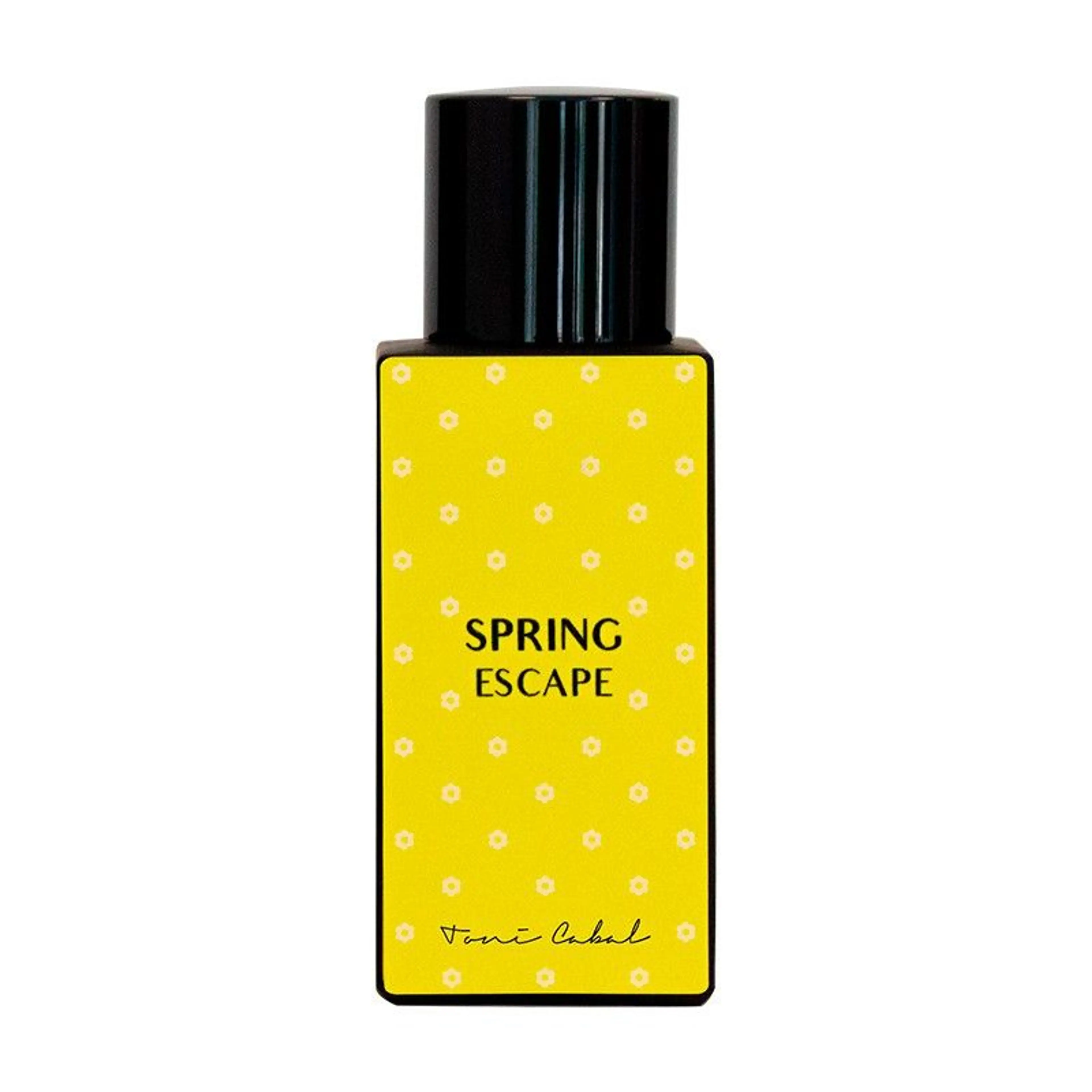 SPRING ESCAPE