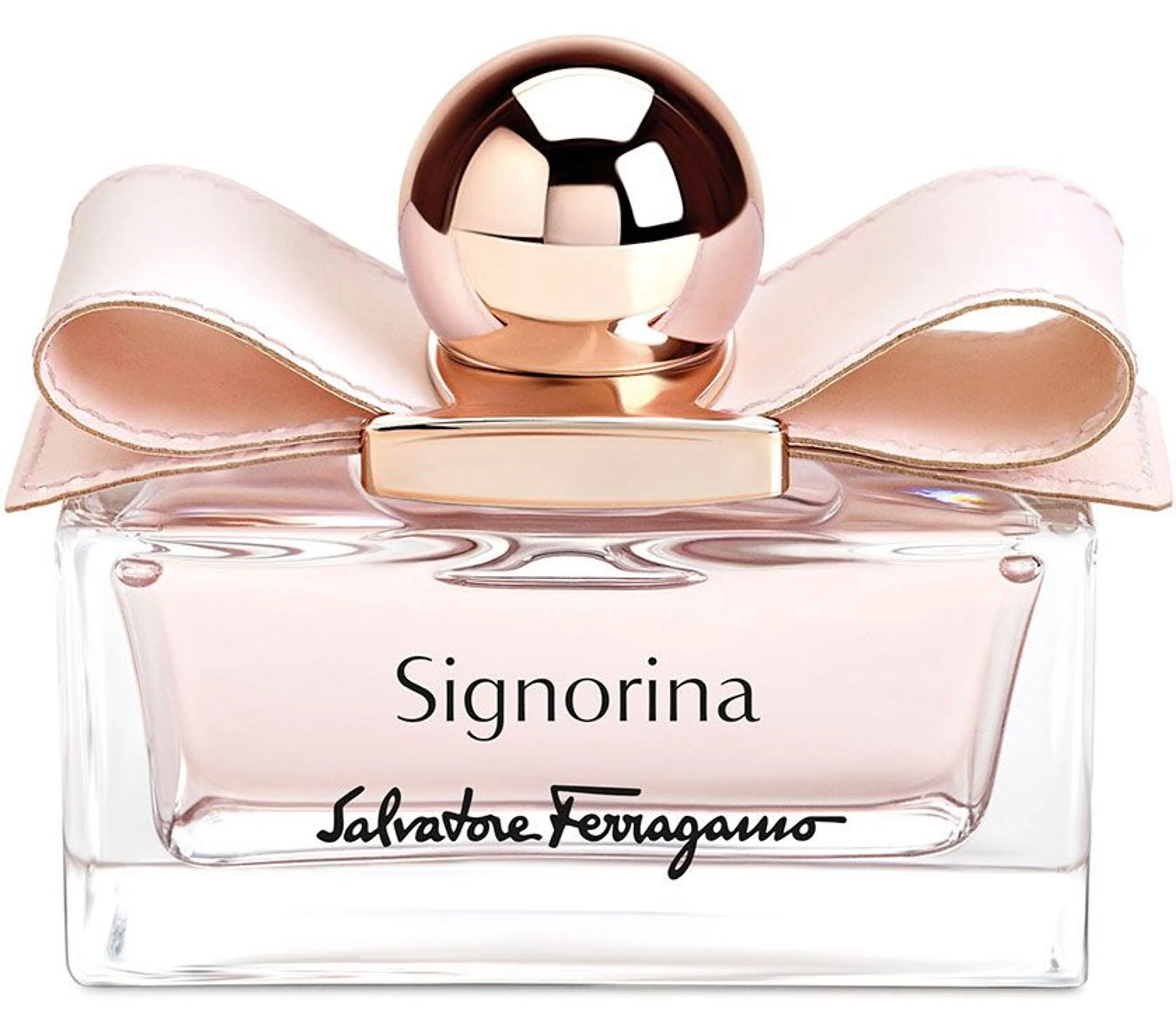 Signorina Leather Edition