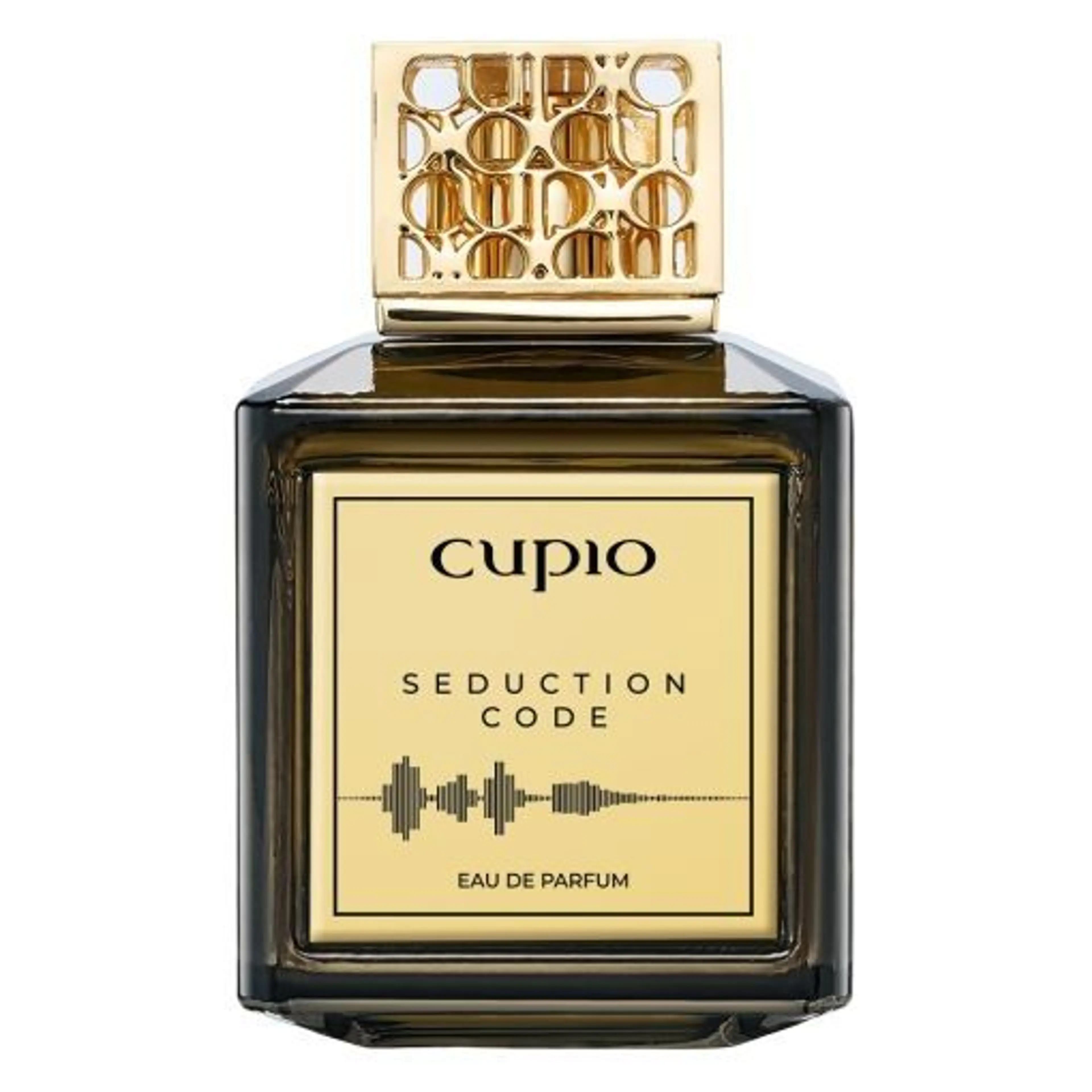 Seduction Code