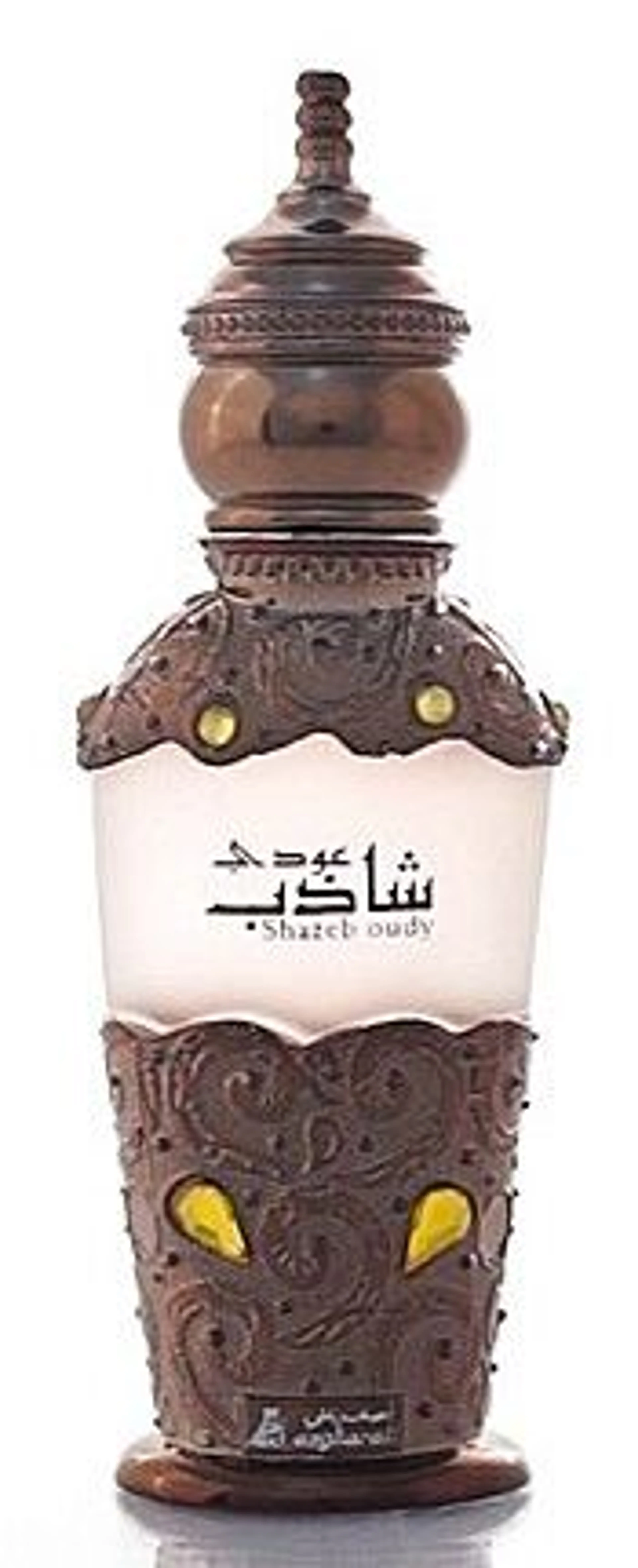 Shazeb Oudy