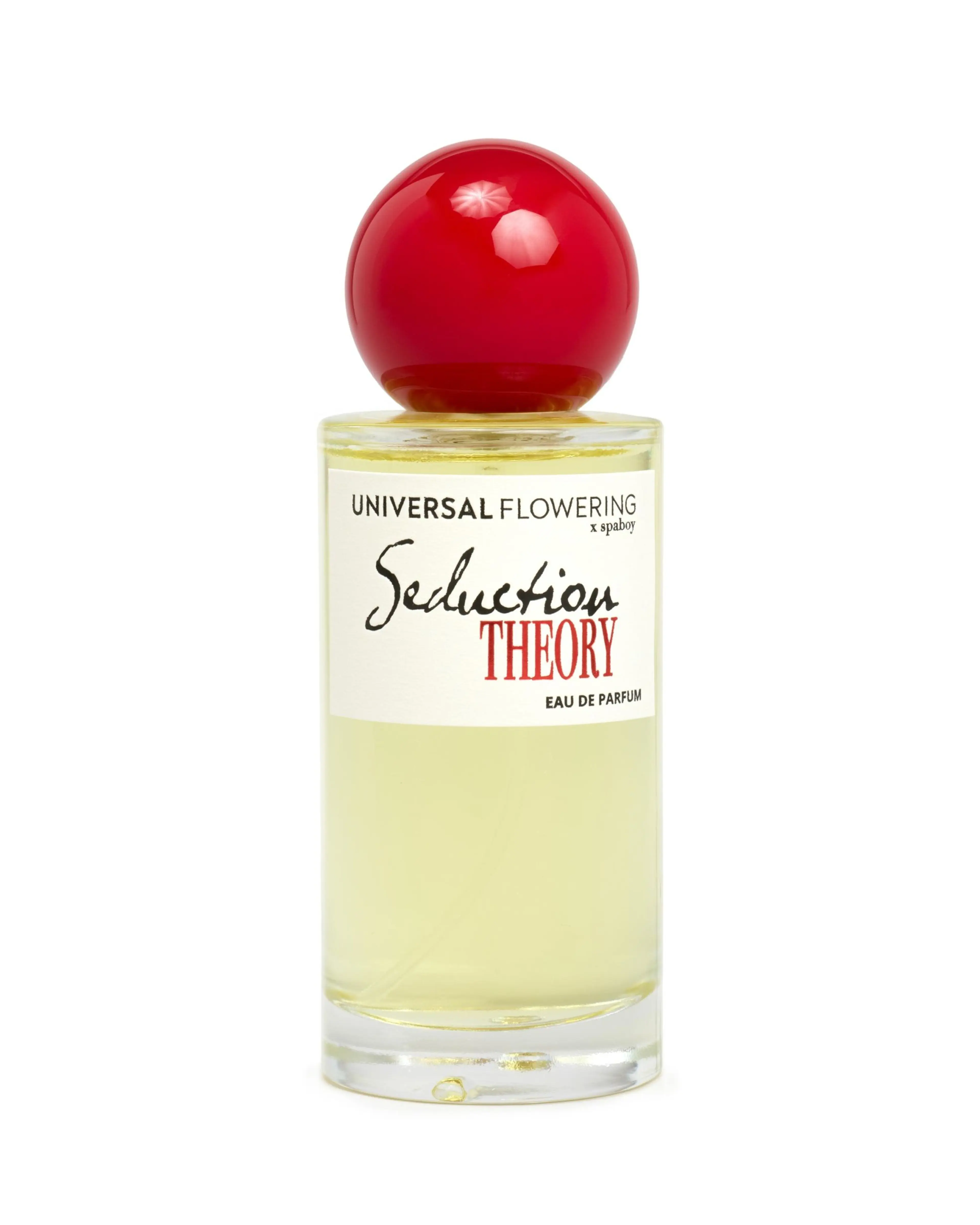 Seduction Theory