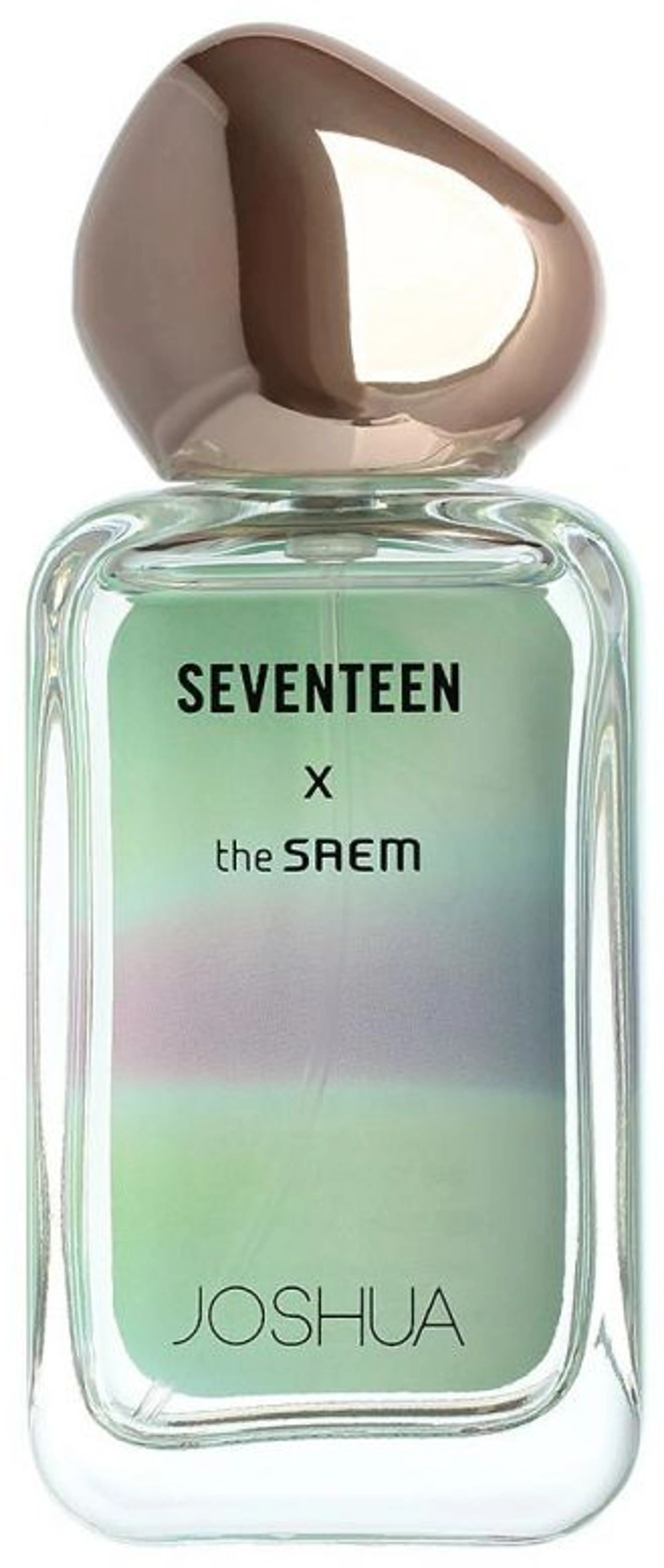 Seventeen X Joshua