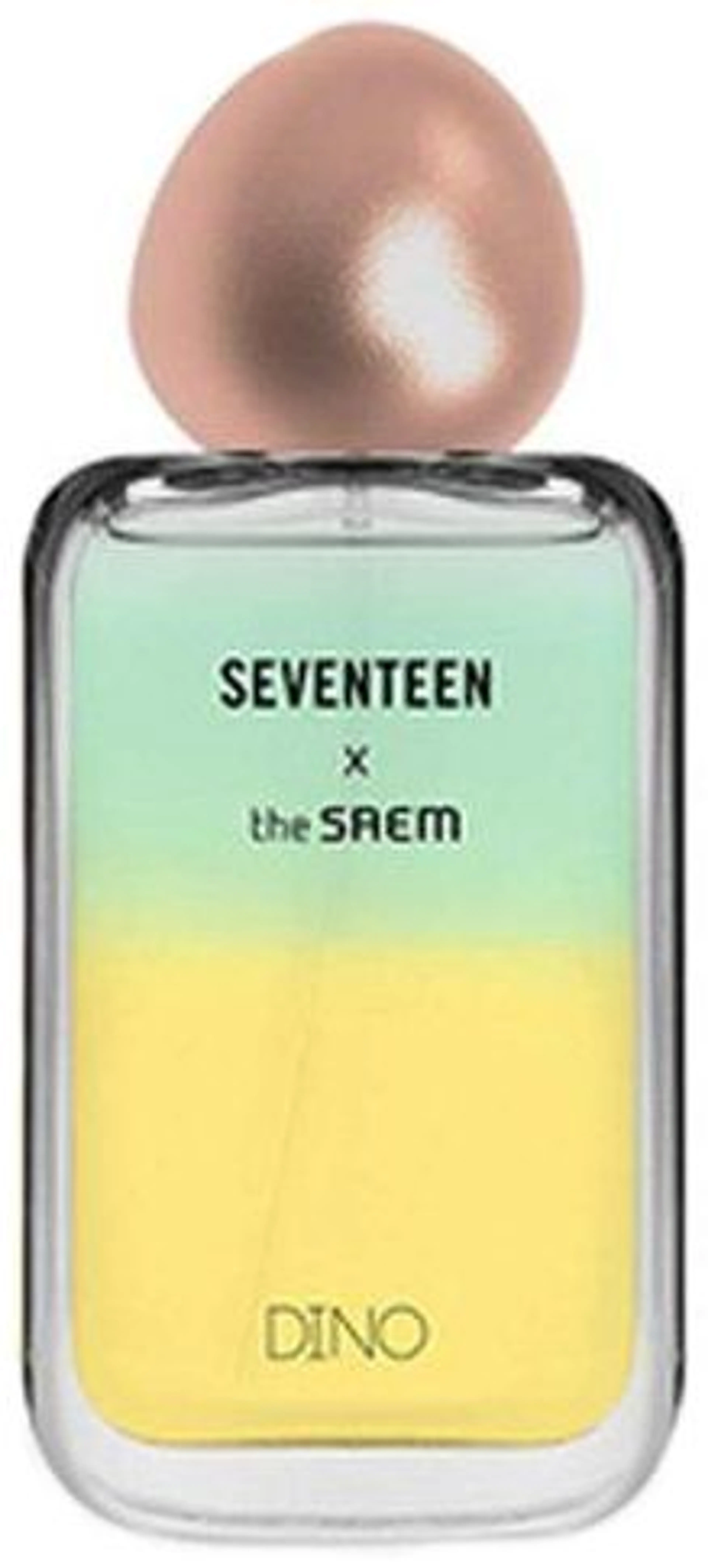 Seventeen X Dino