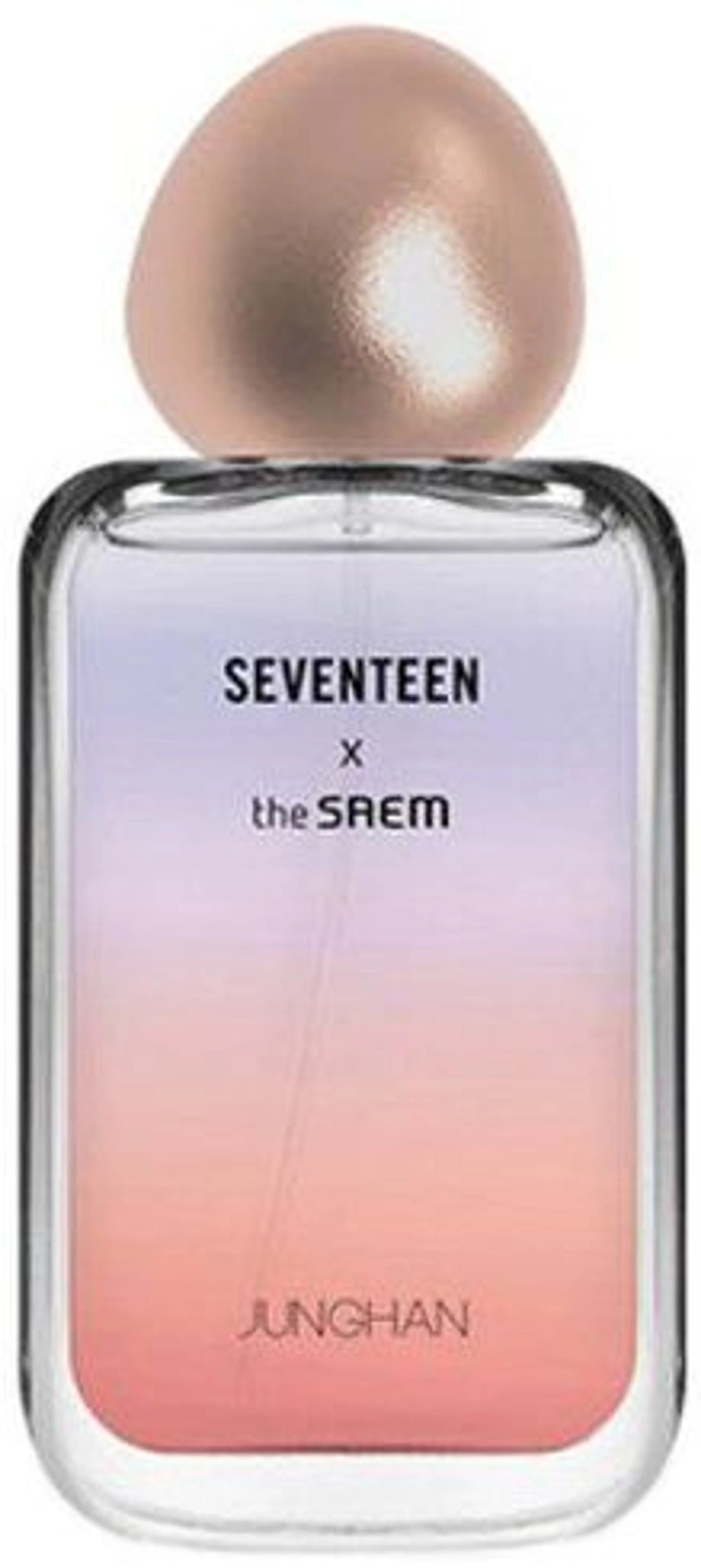 Seventeen X Junghan