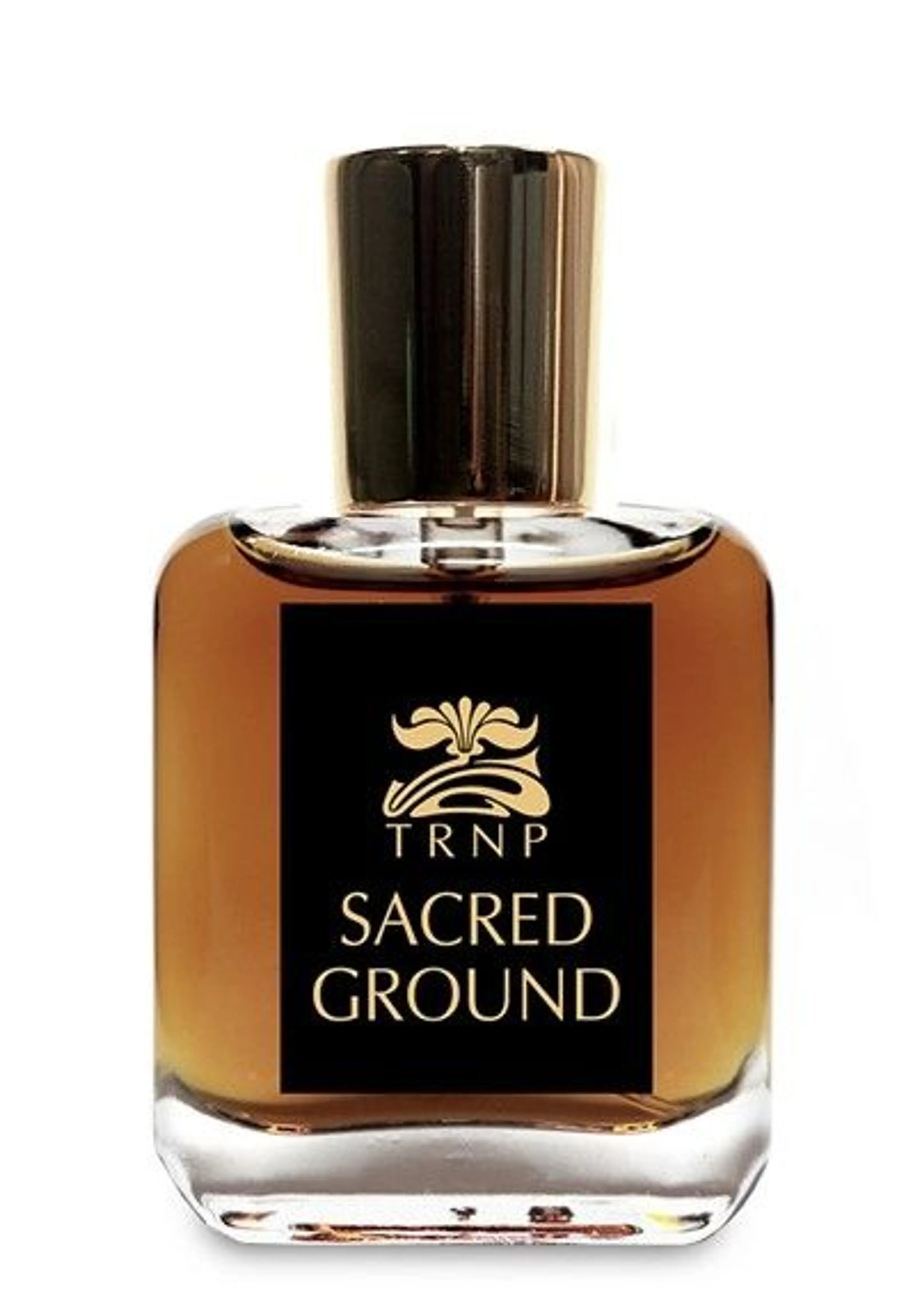Sacred Ground
