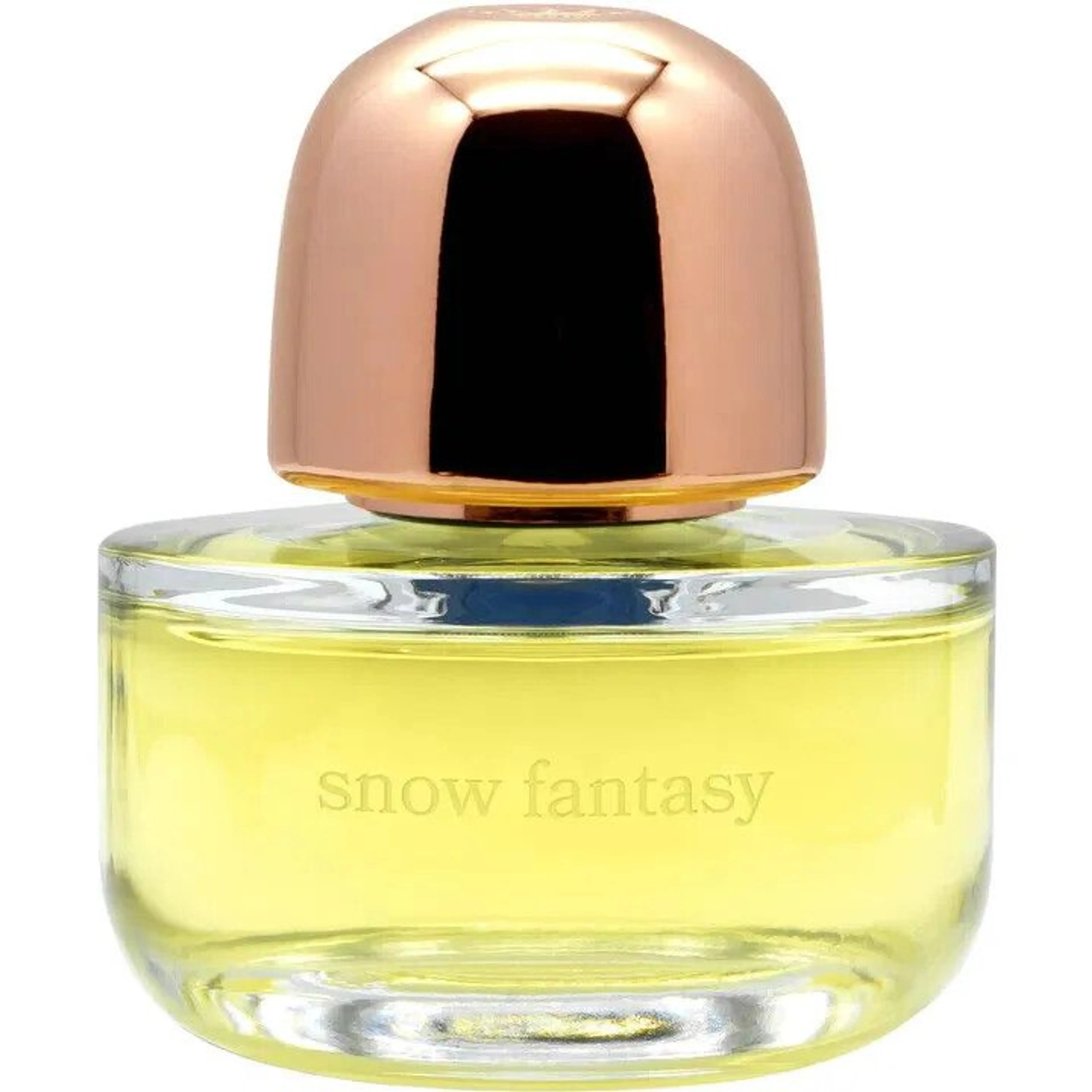 Snow Fantasy