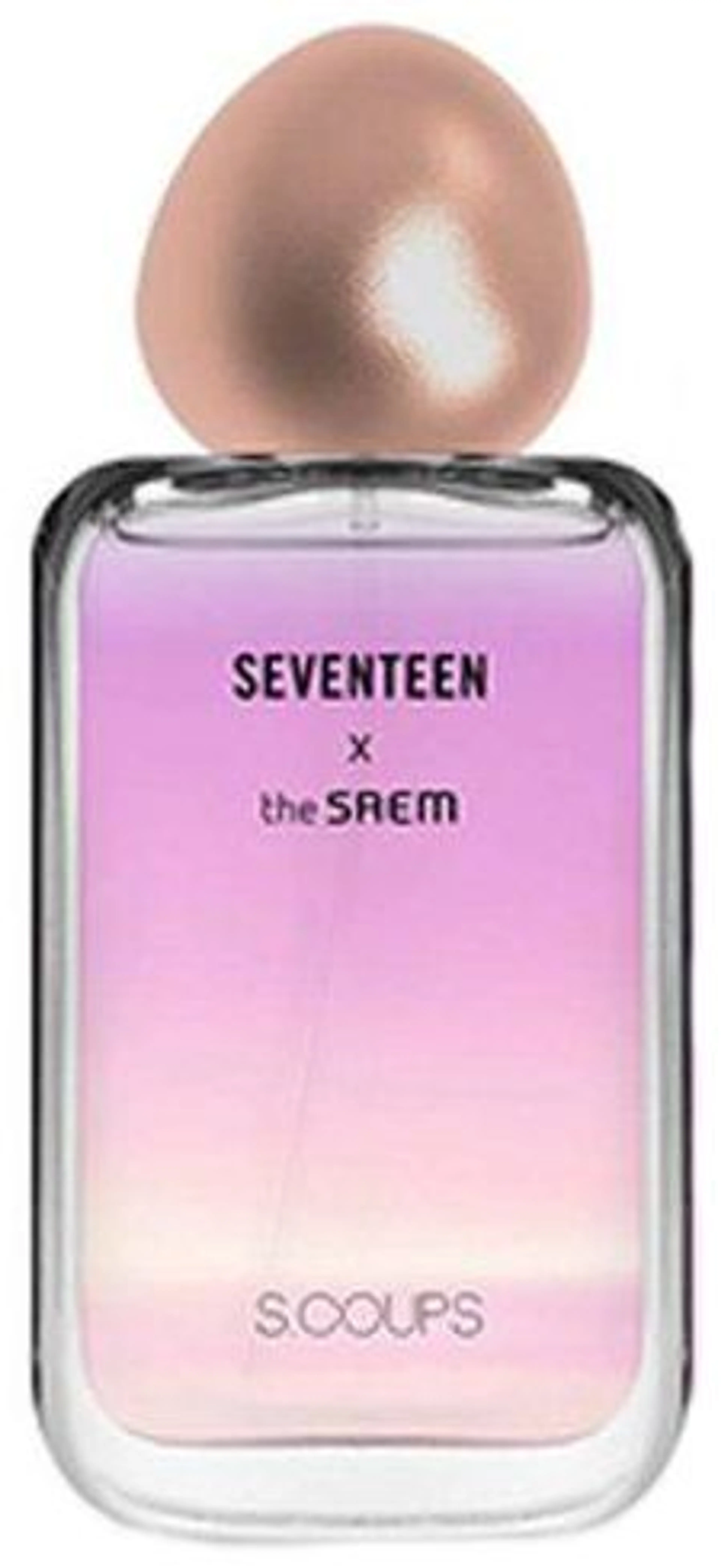 Seventeen X S.Coup's