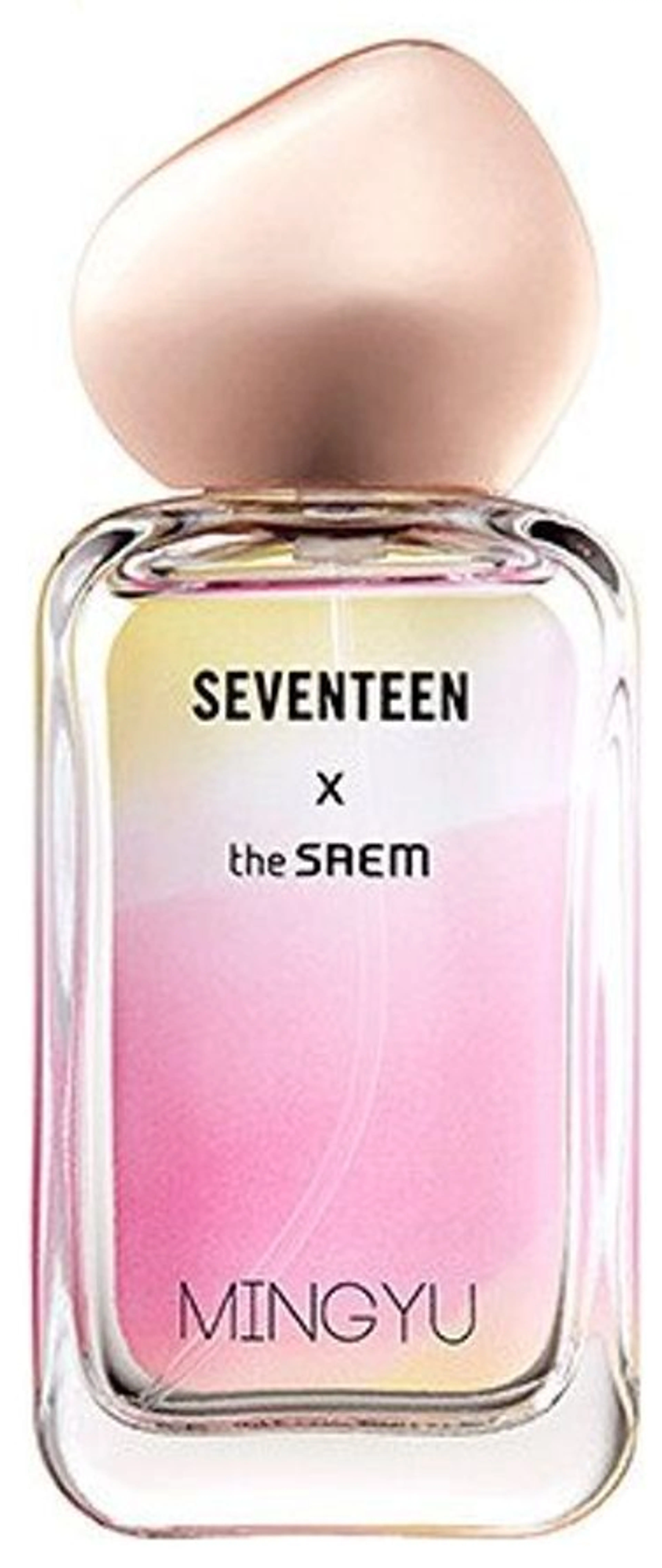 Seventeen X Mingyu