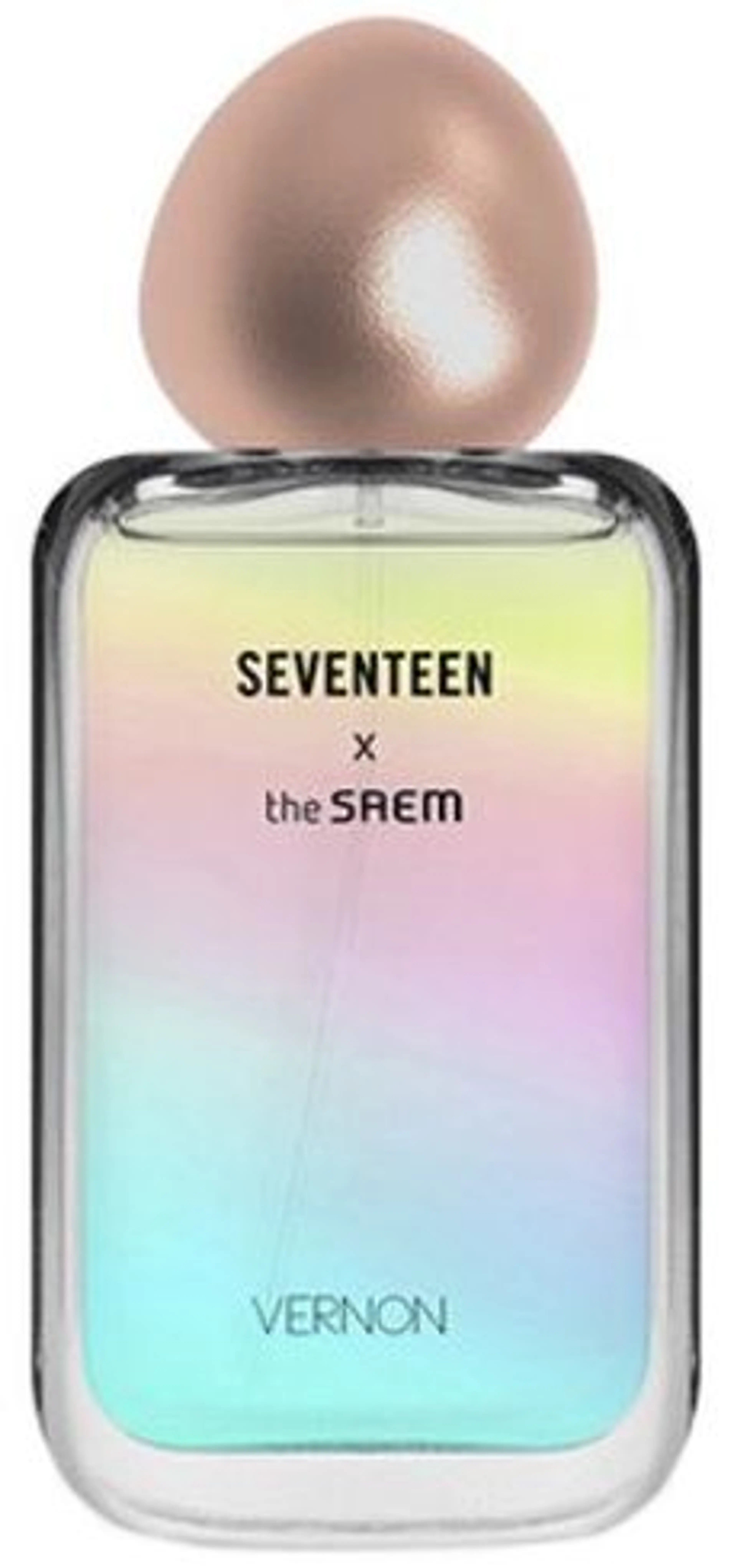 Seventeen X Vernon