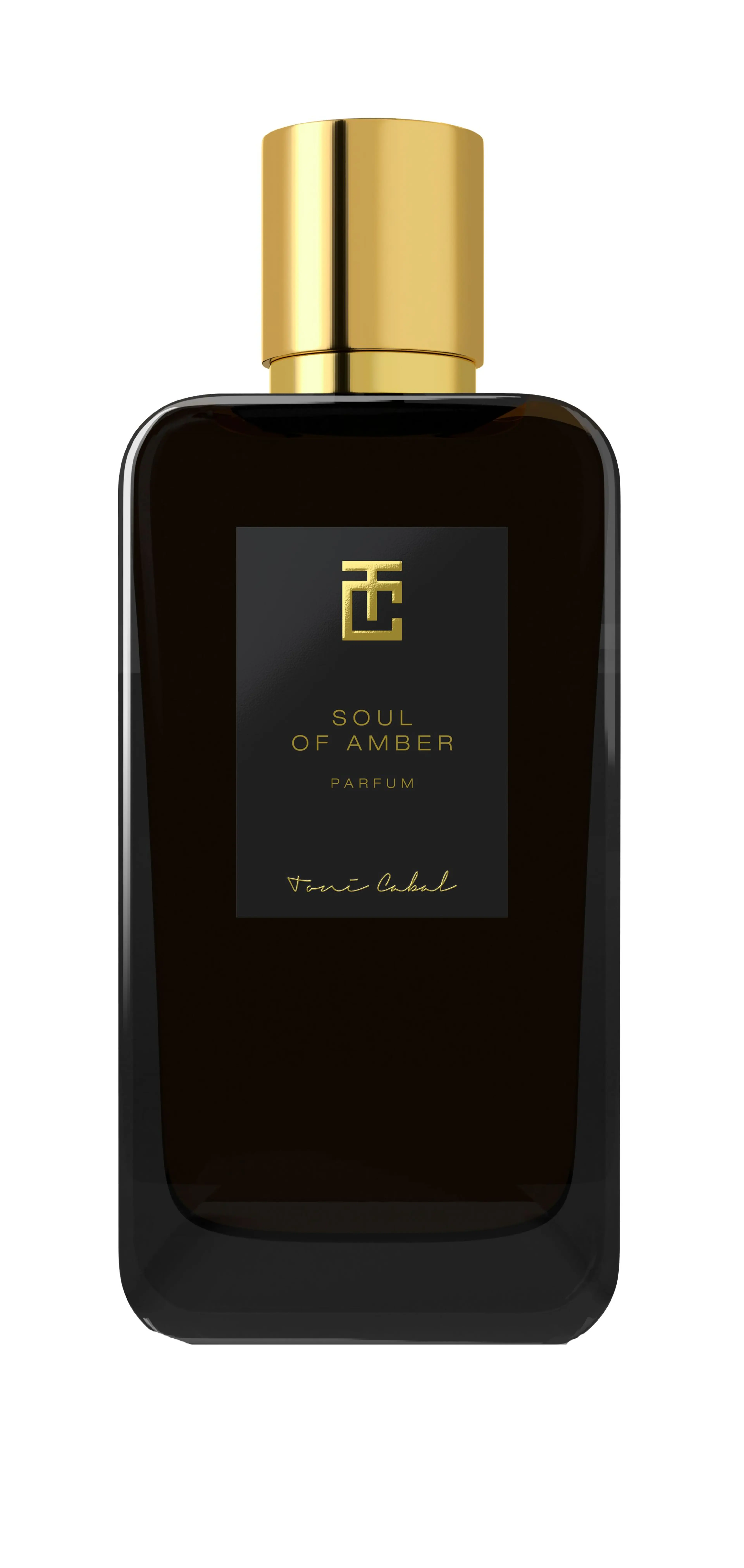Soul of Amber
