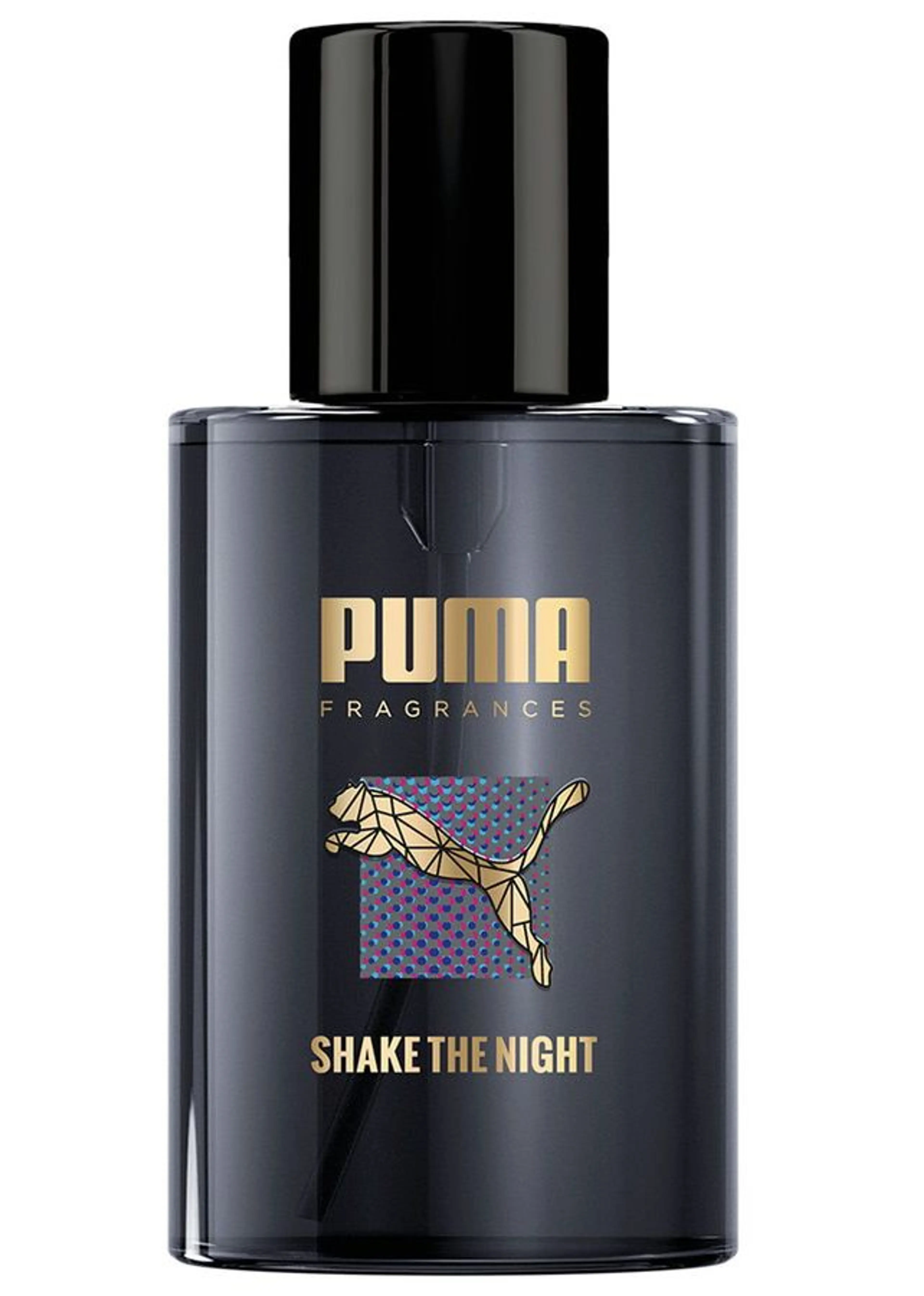 Shake The Night