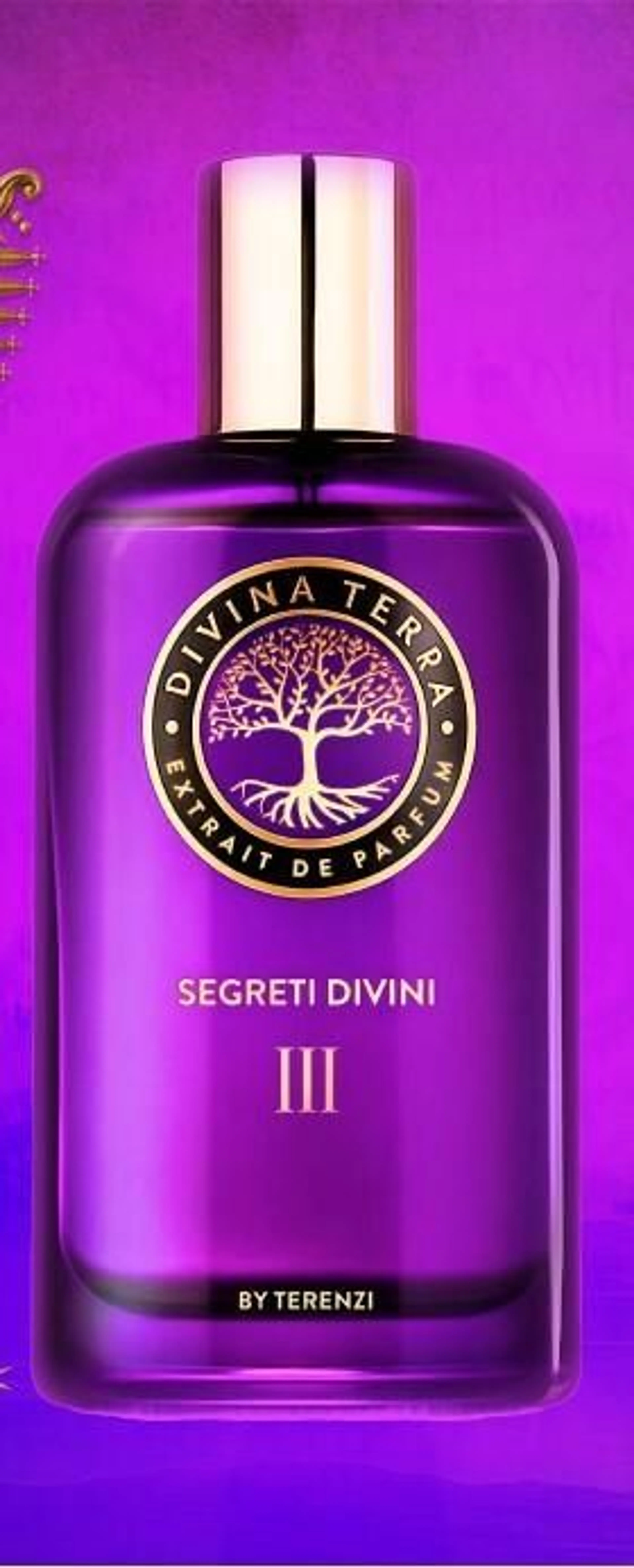 SEGRETI DIVINI III