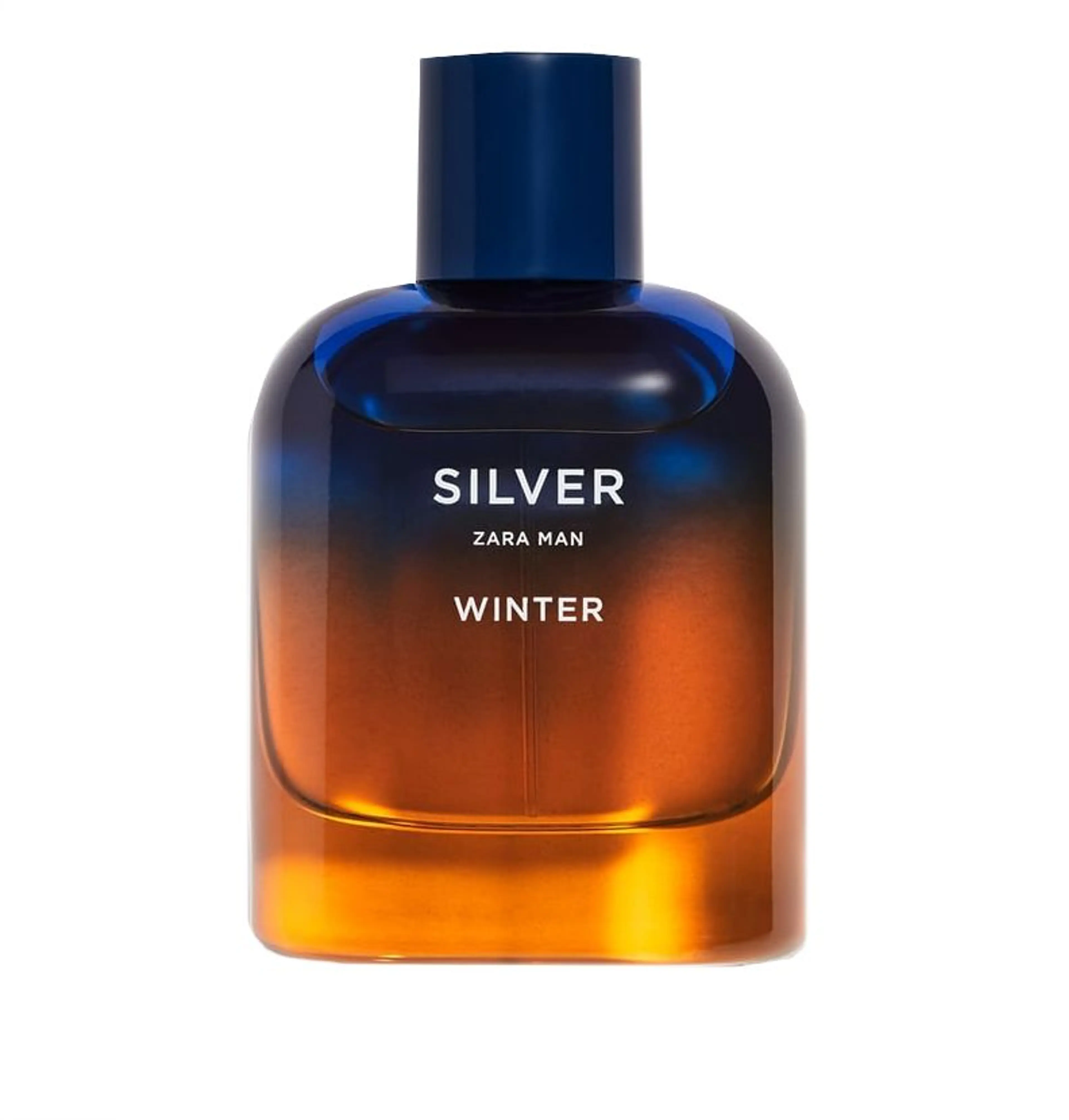 Silver Winter Zara Man