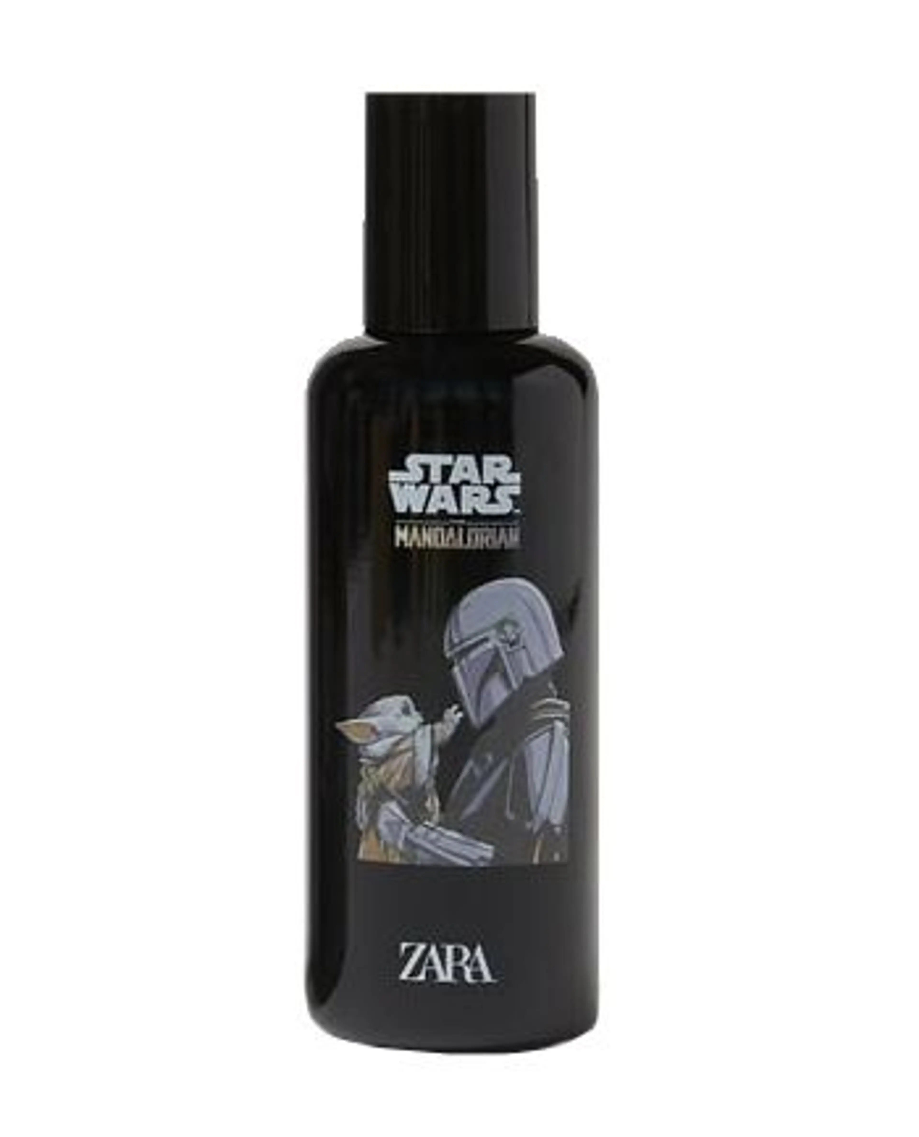Star Wars The Mandalorian