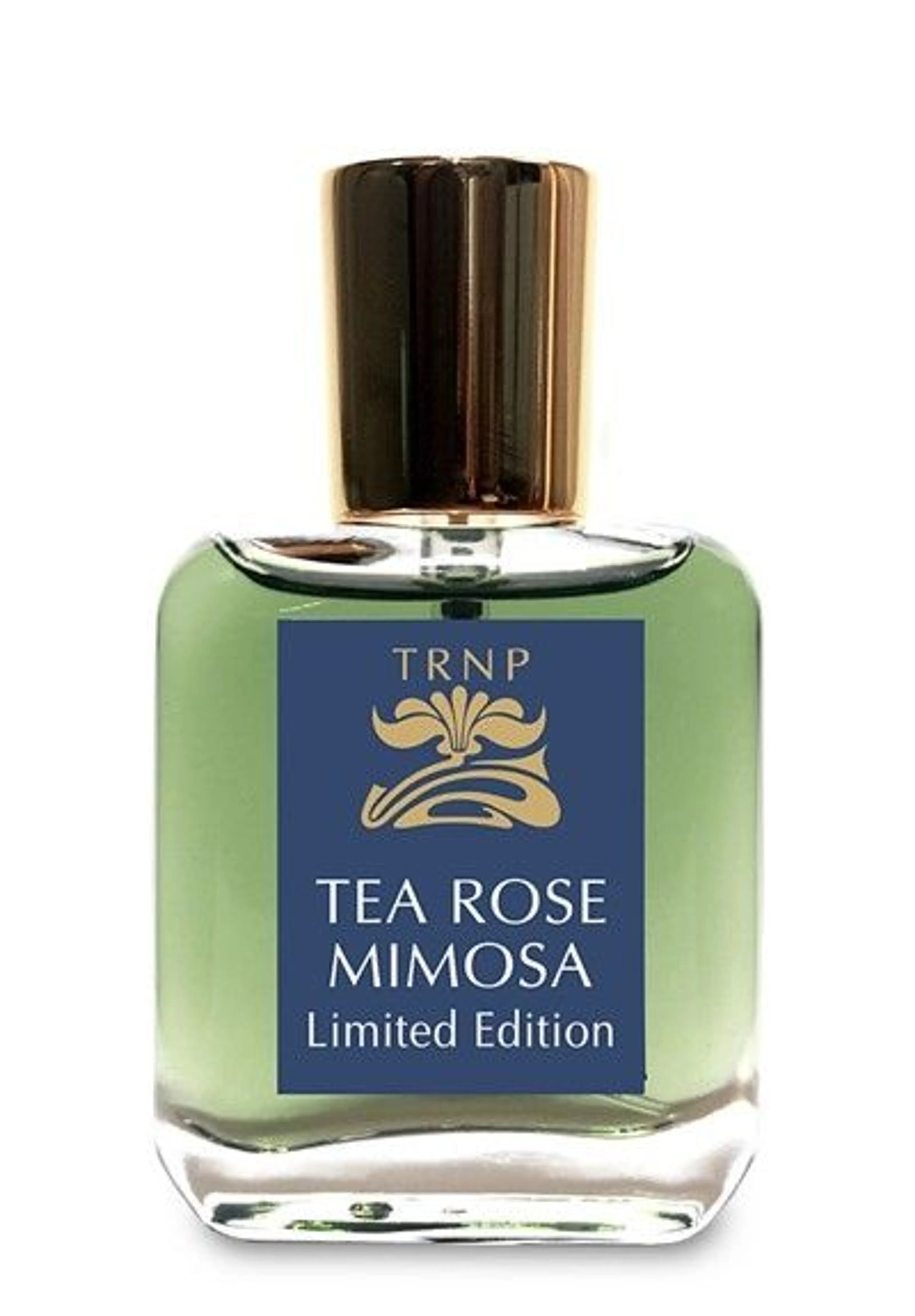Tea Rose Mimosa - Limited Edition