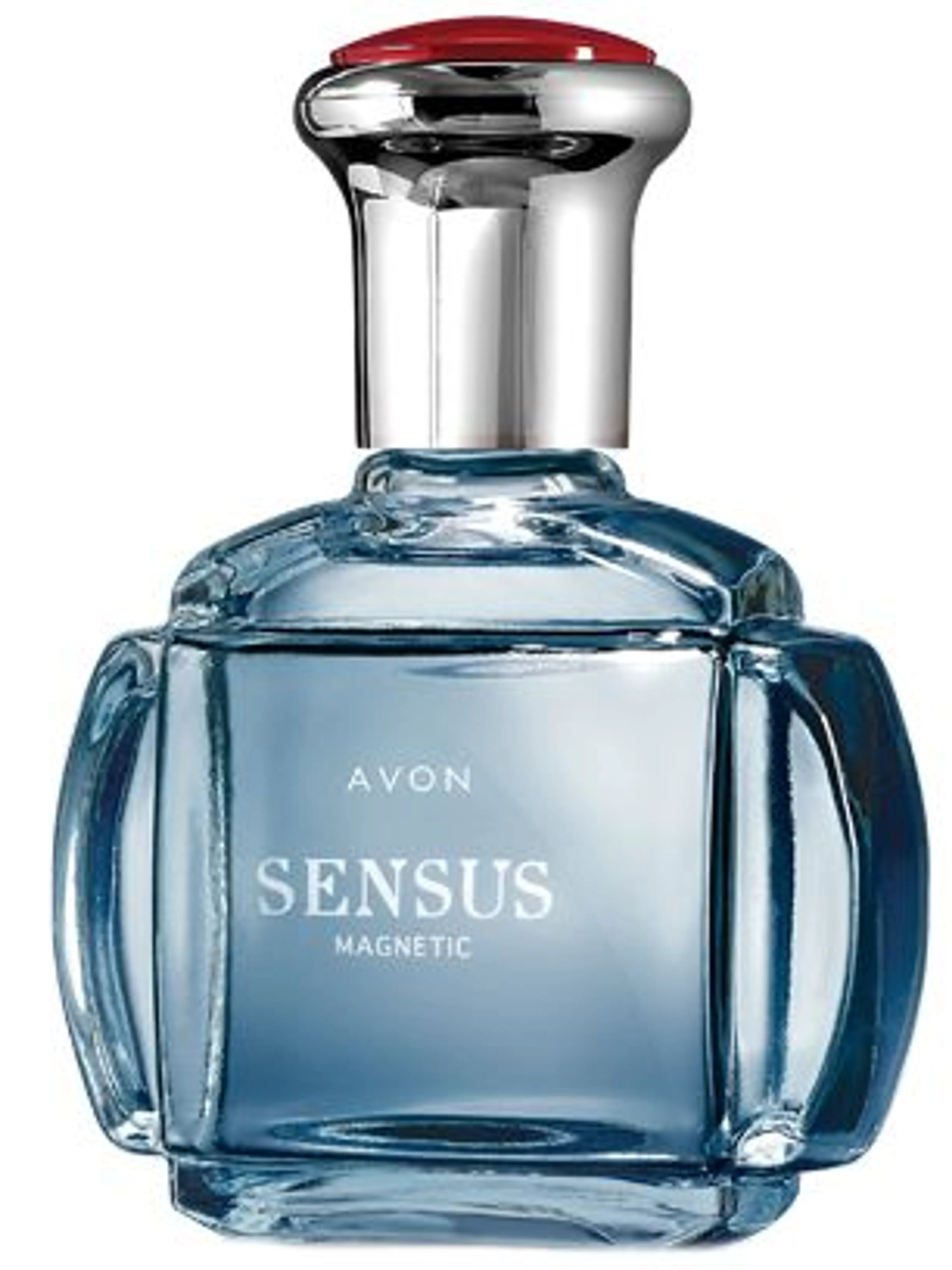 Sensus Magnetic