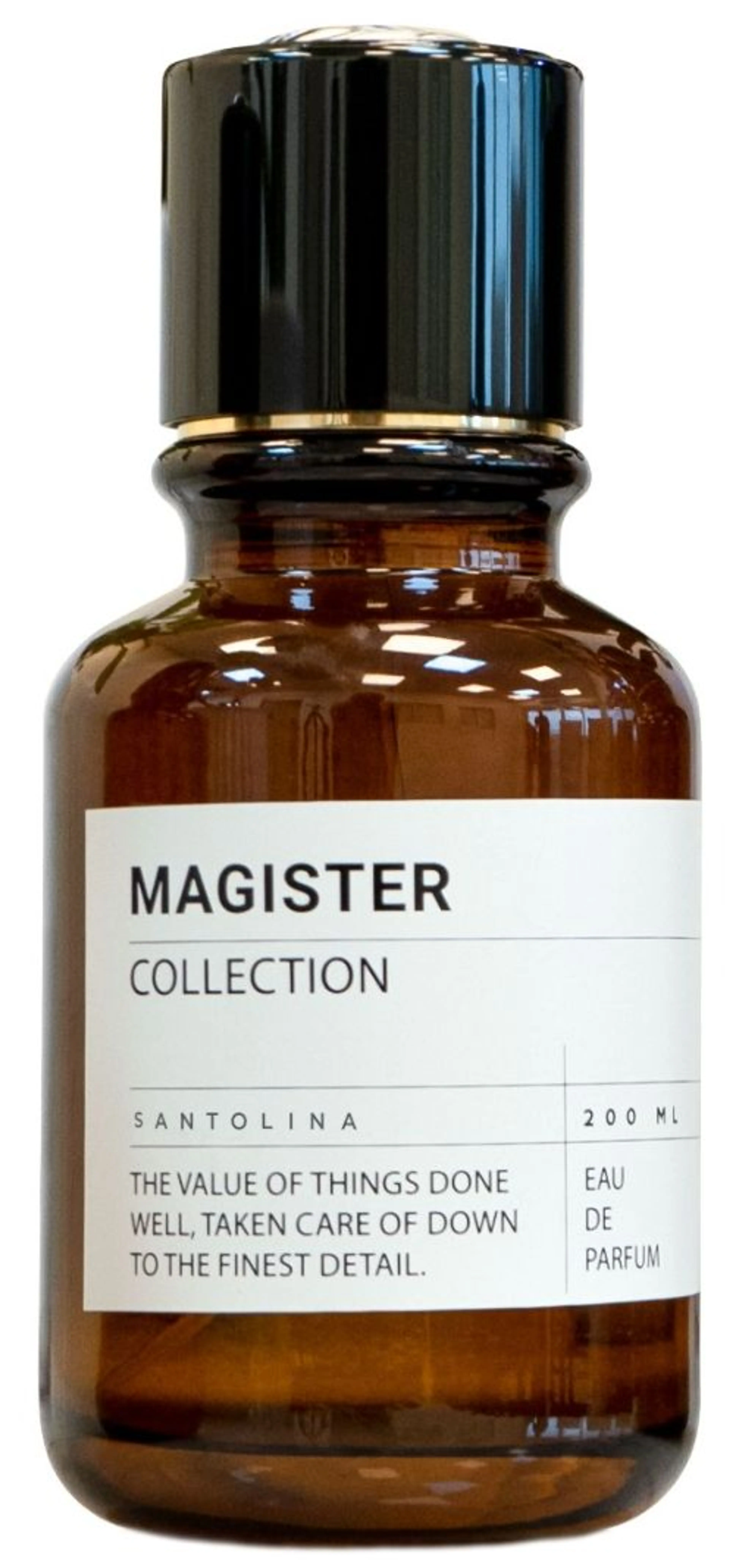 Santolina