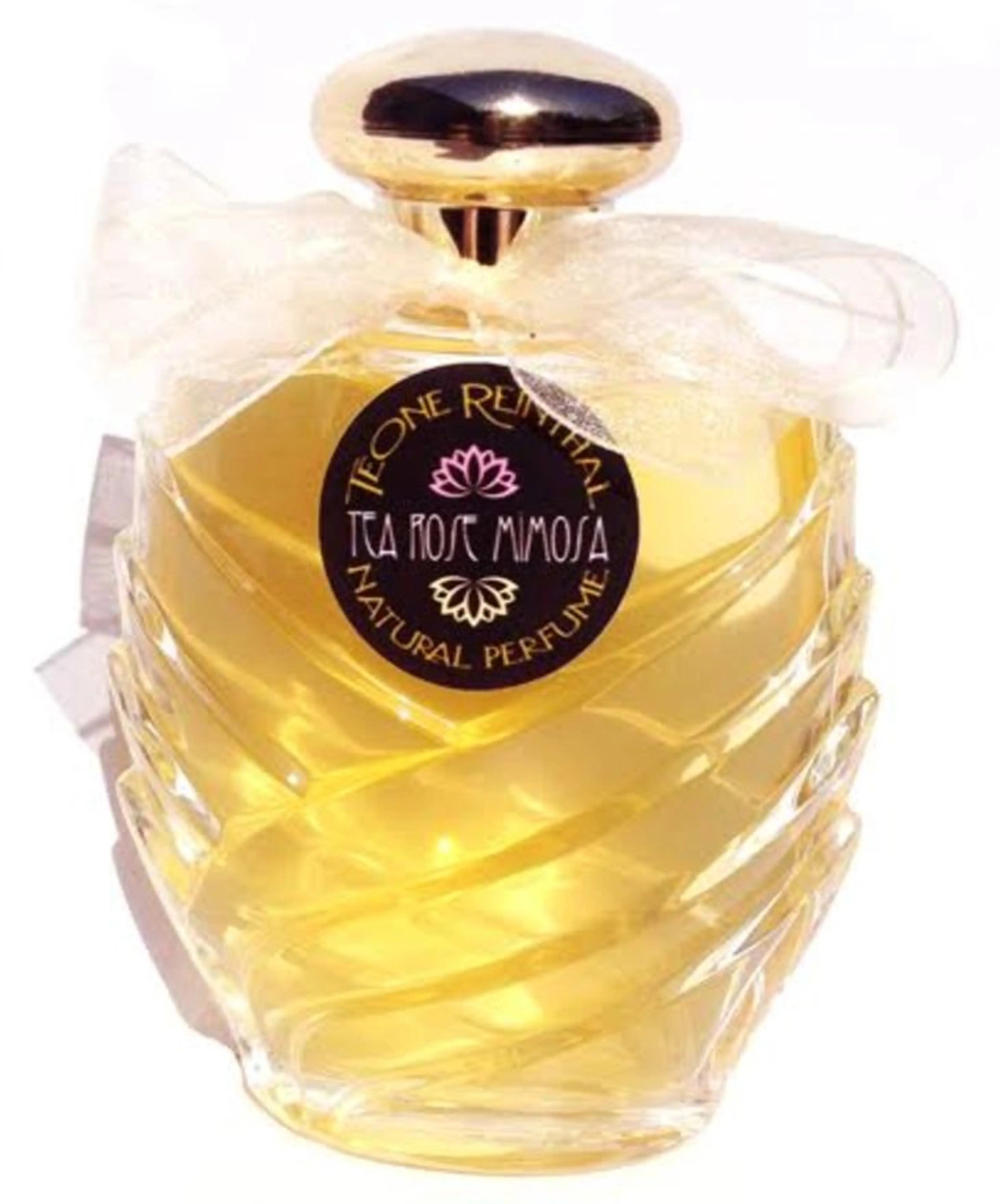 Tea Rose Mimosa