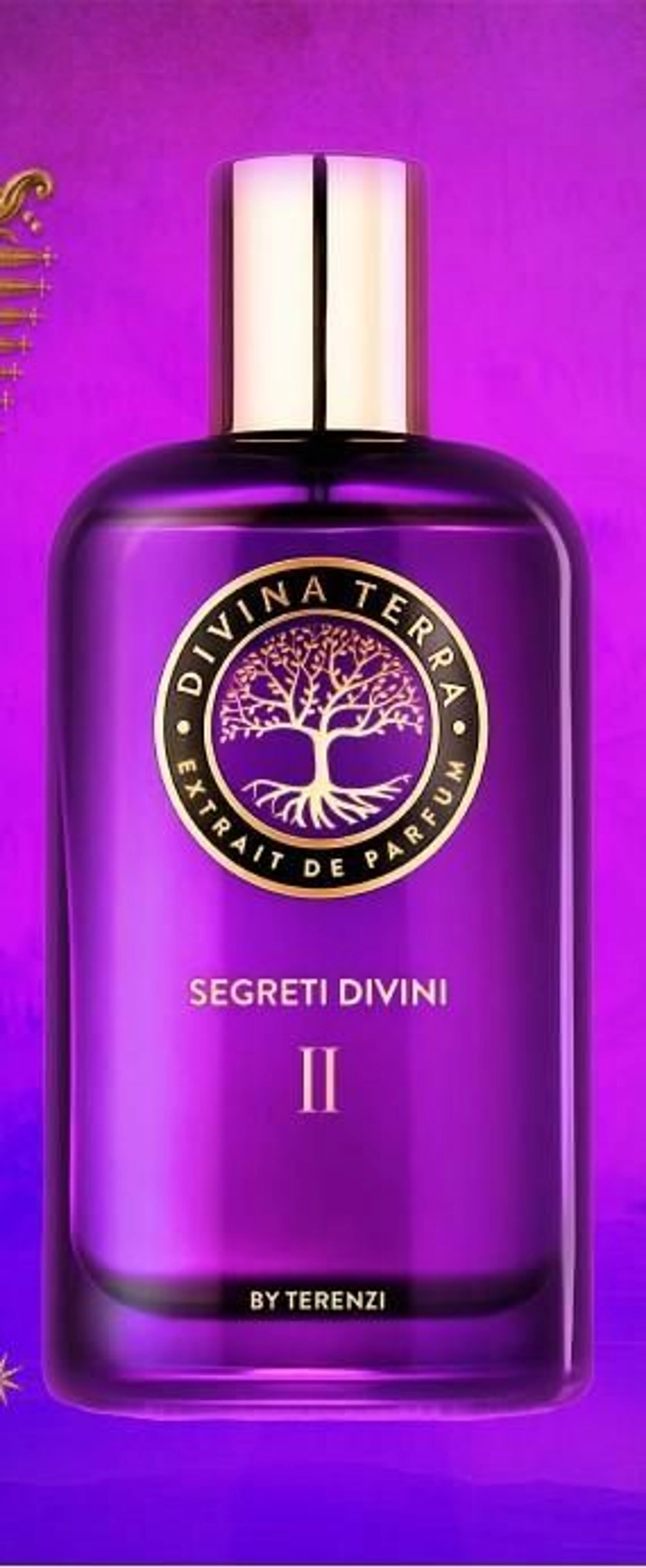 SEGRETI DIVINI II