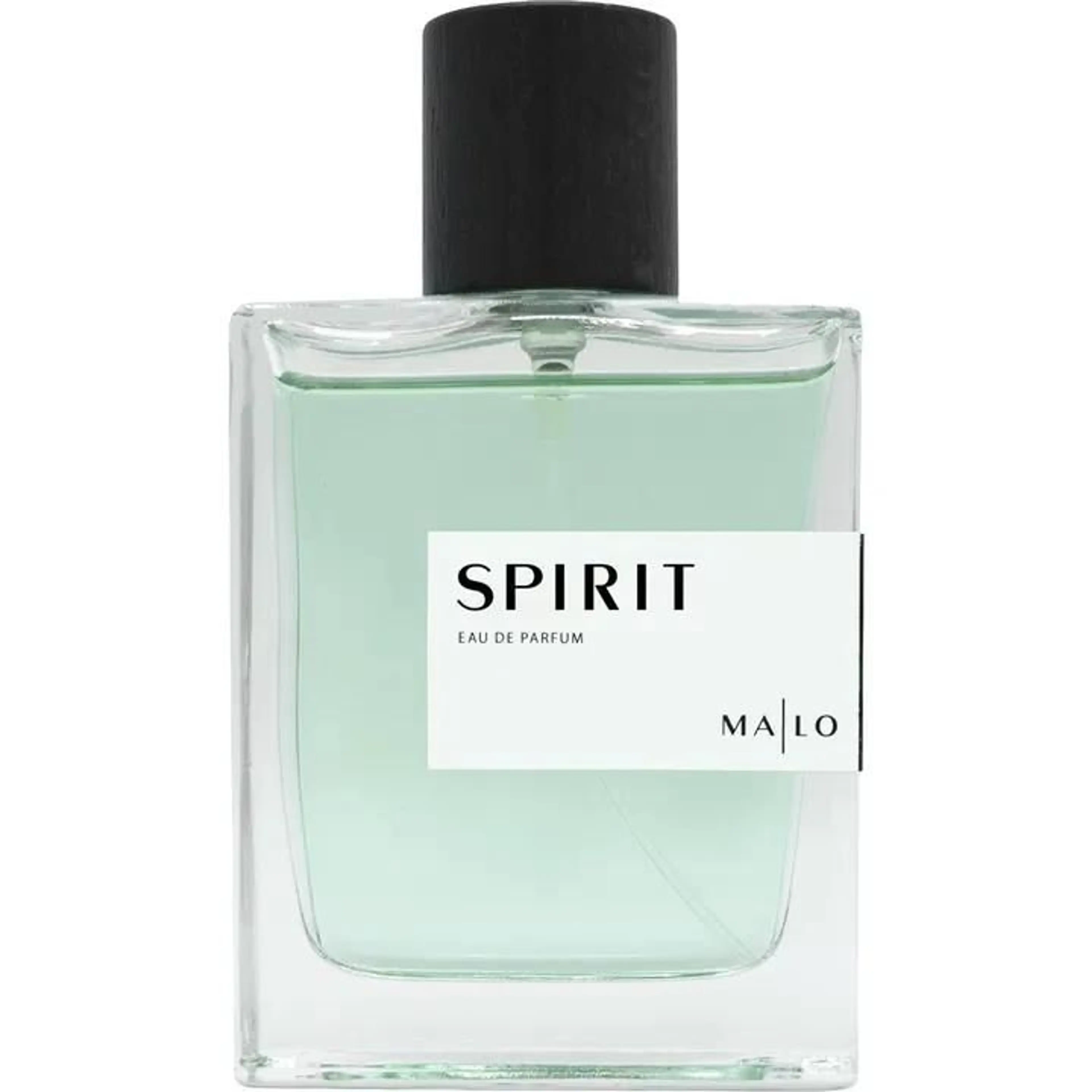 Spirit