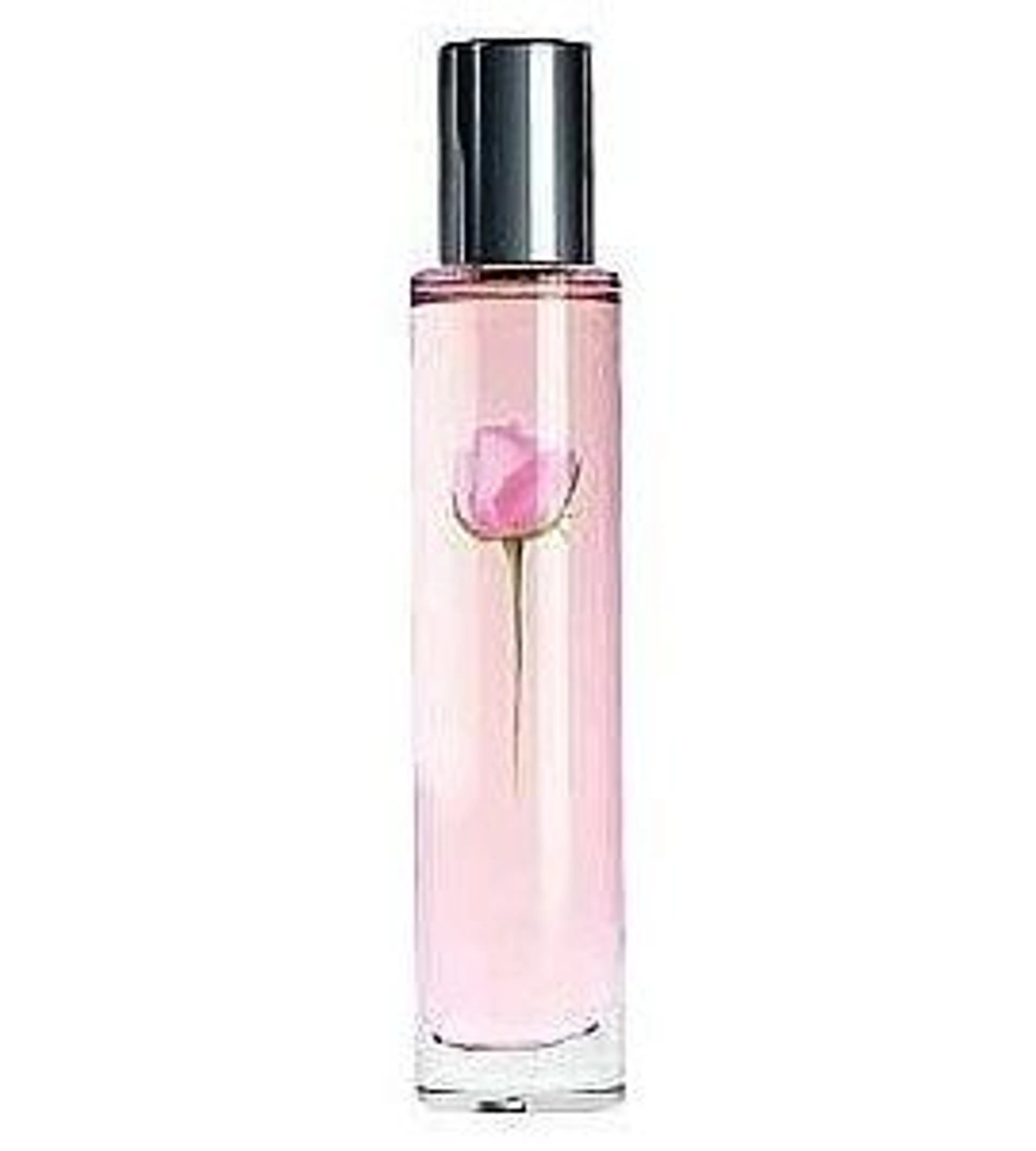 Sheer Rose