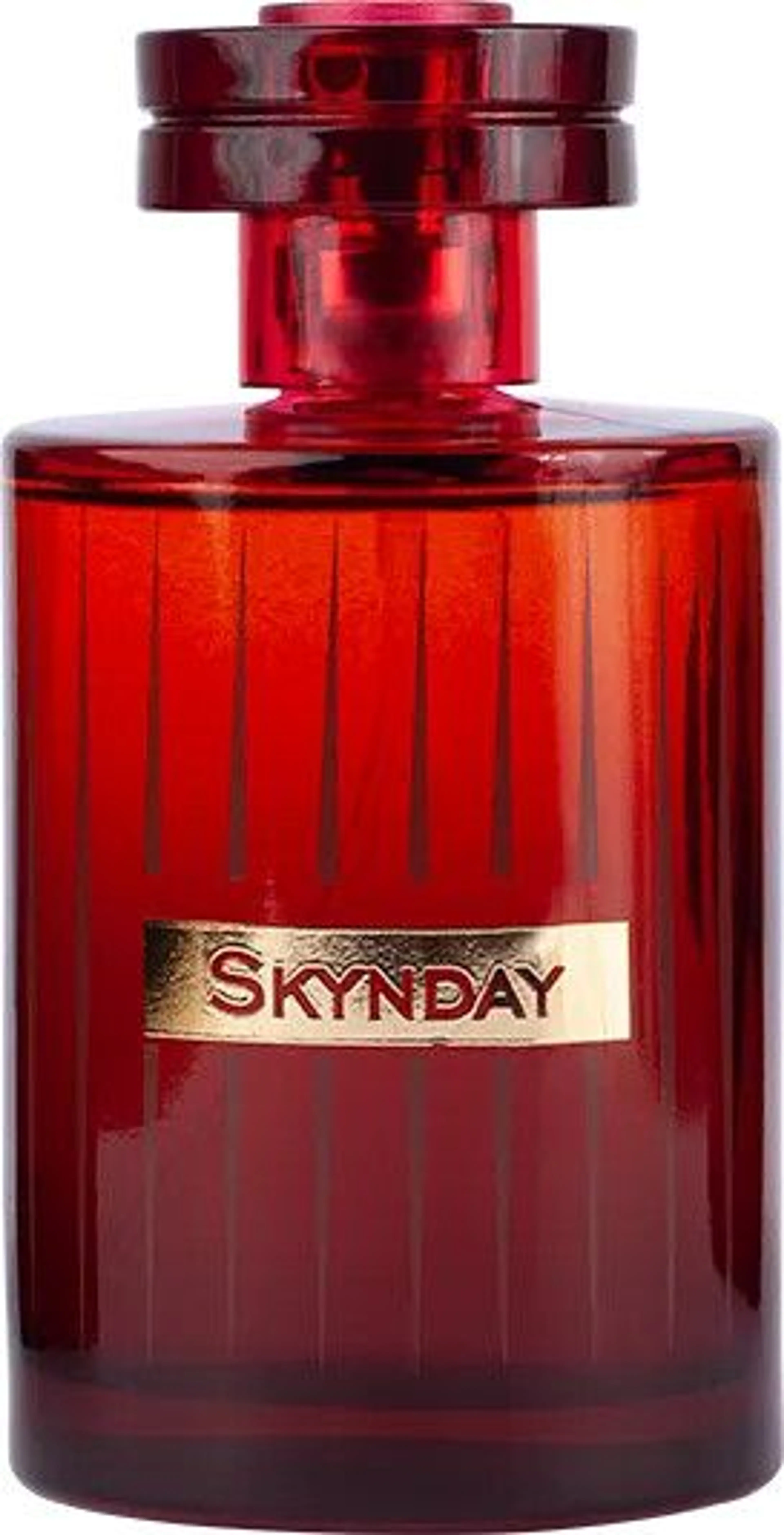 Skynday