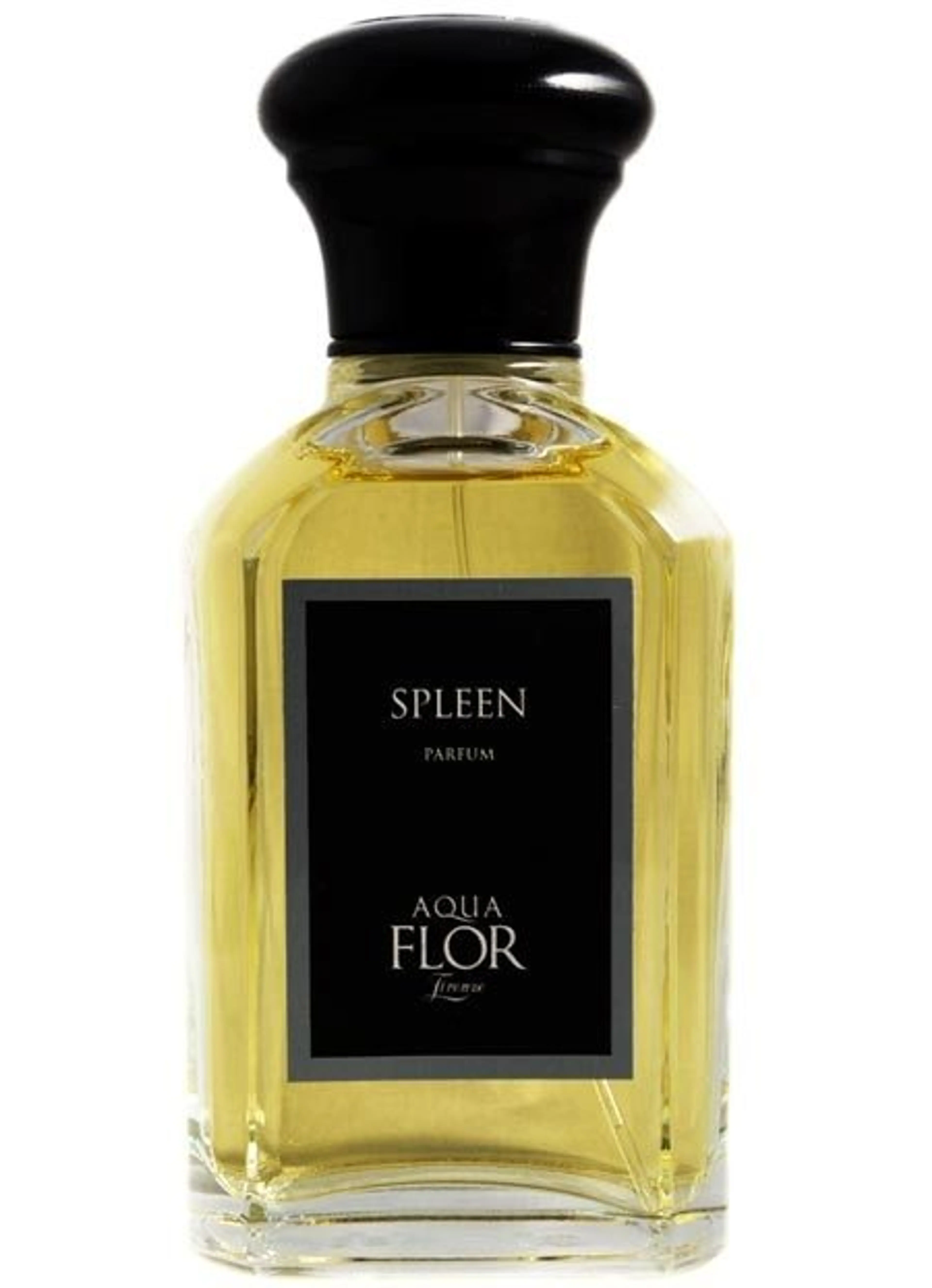 Spleen
