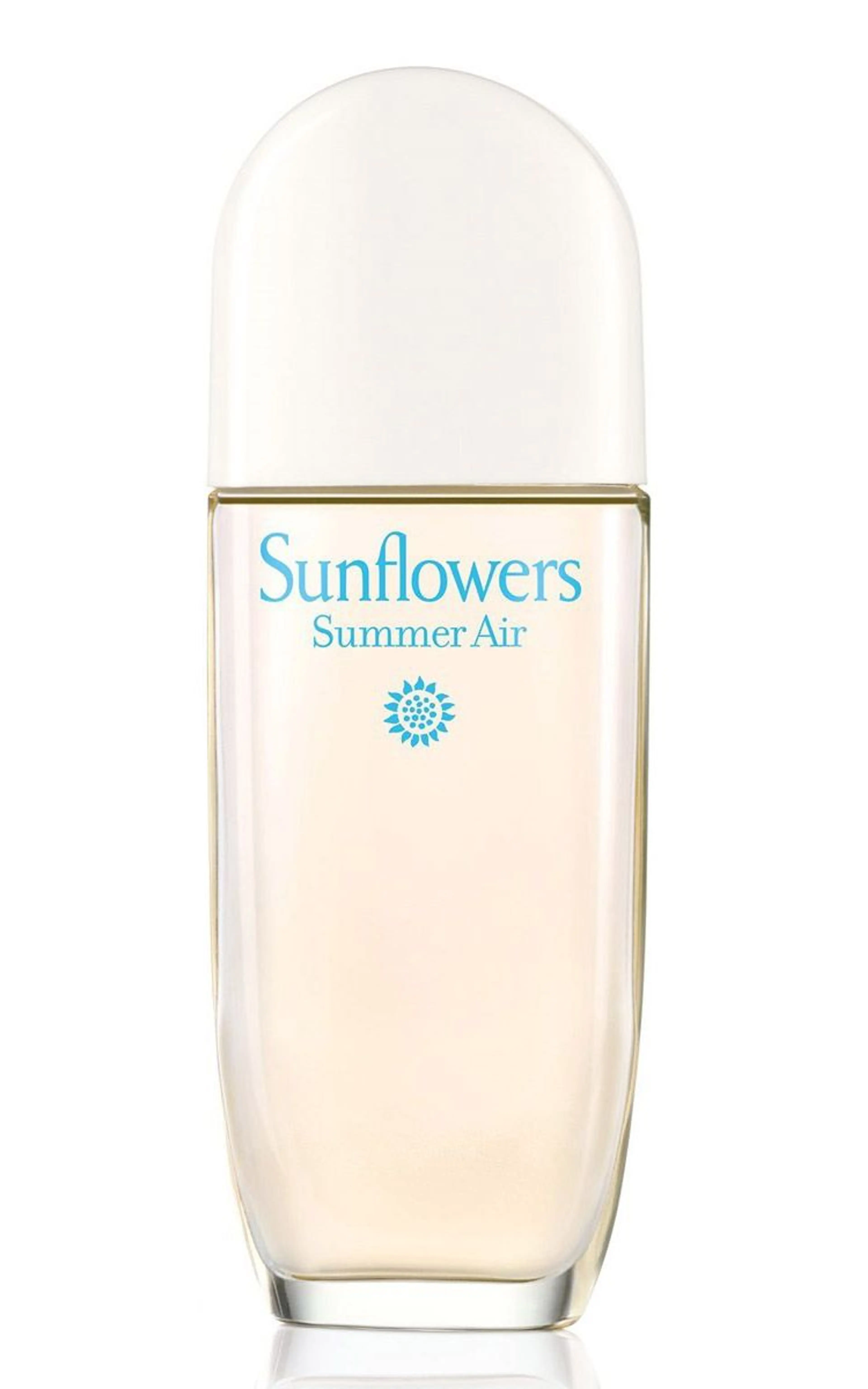 Sunflowers Summer Air