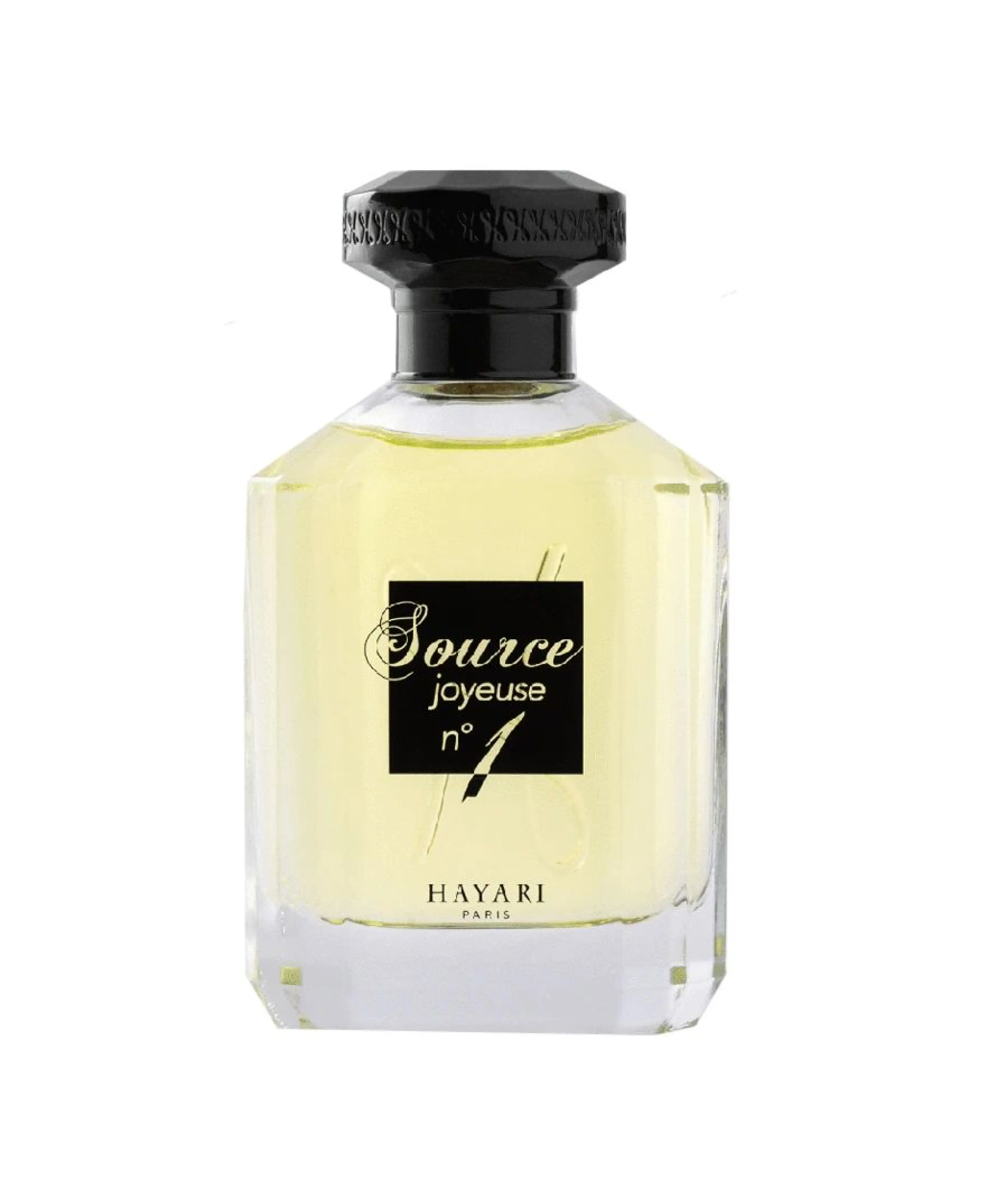 Source Joyeuse No1