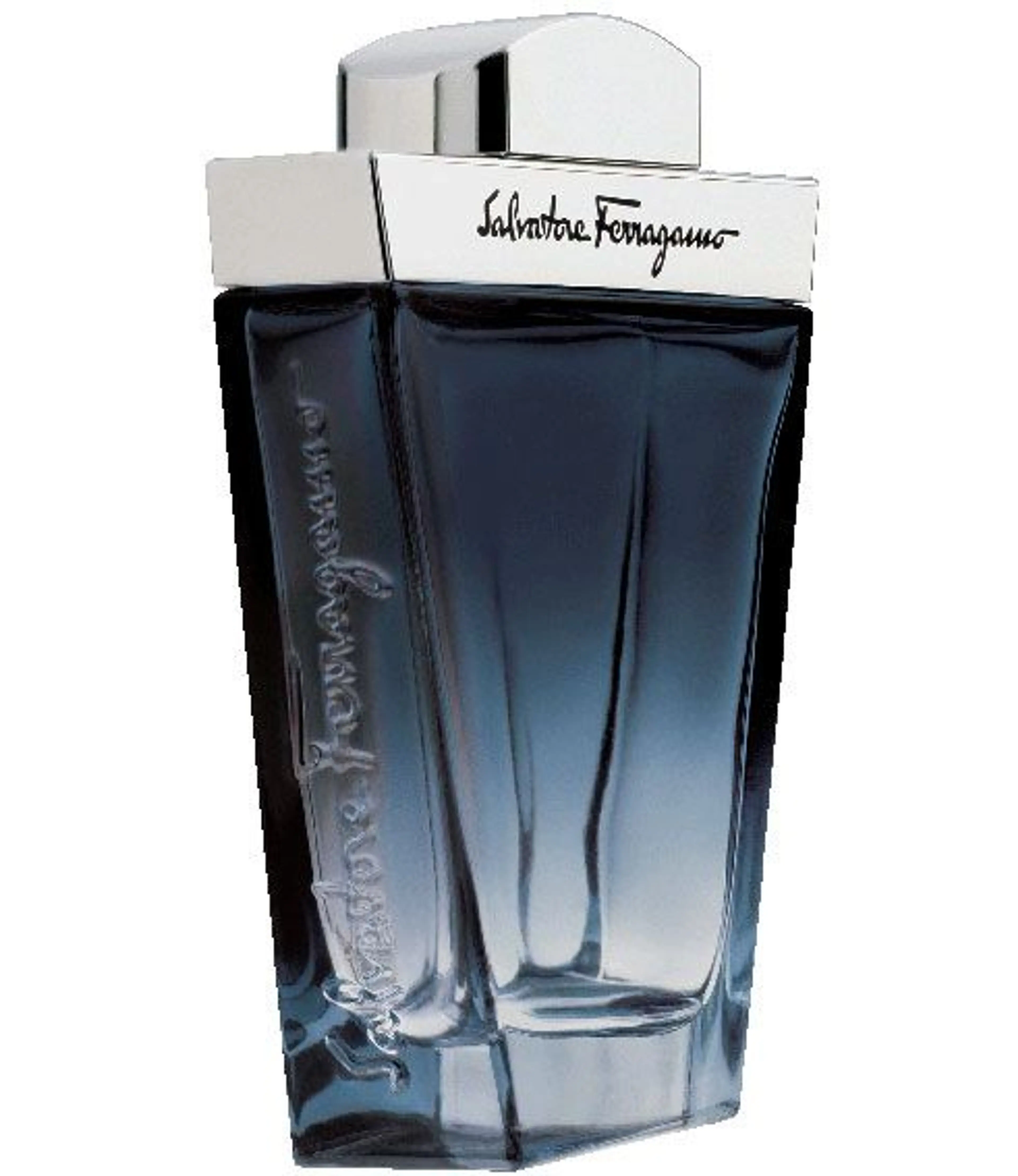 Salvatore Ferragamo Subtil Pour Homme