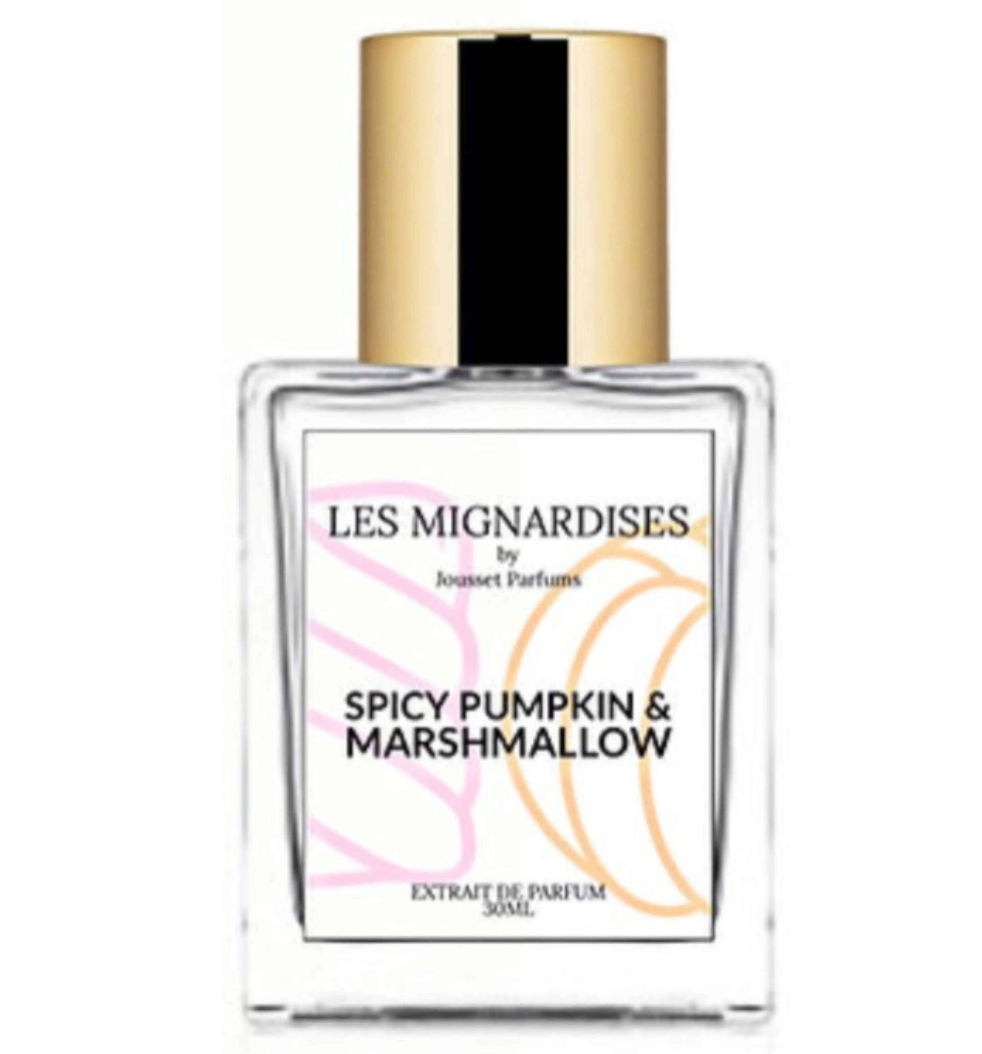 Spicy Pumpkin & Marshmallow