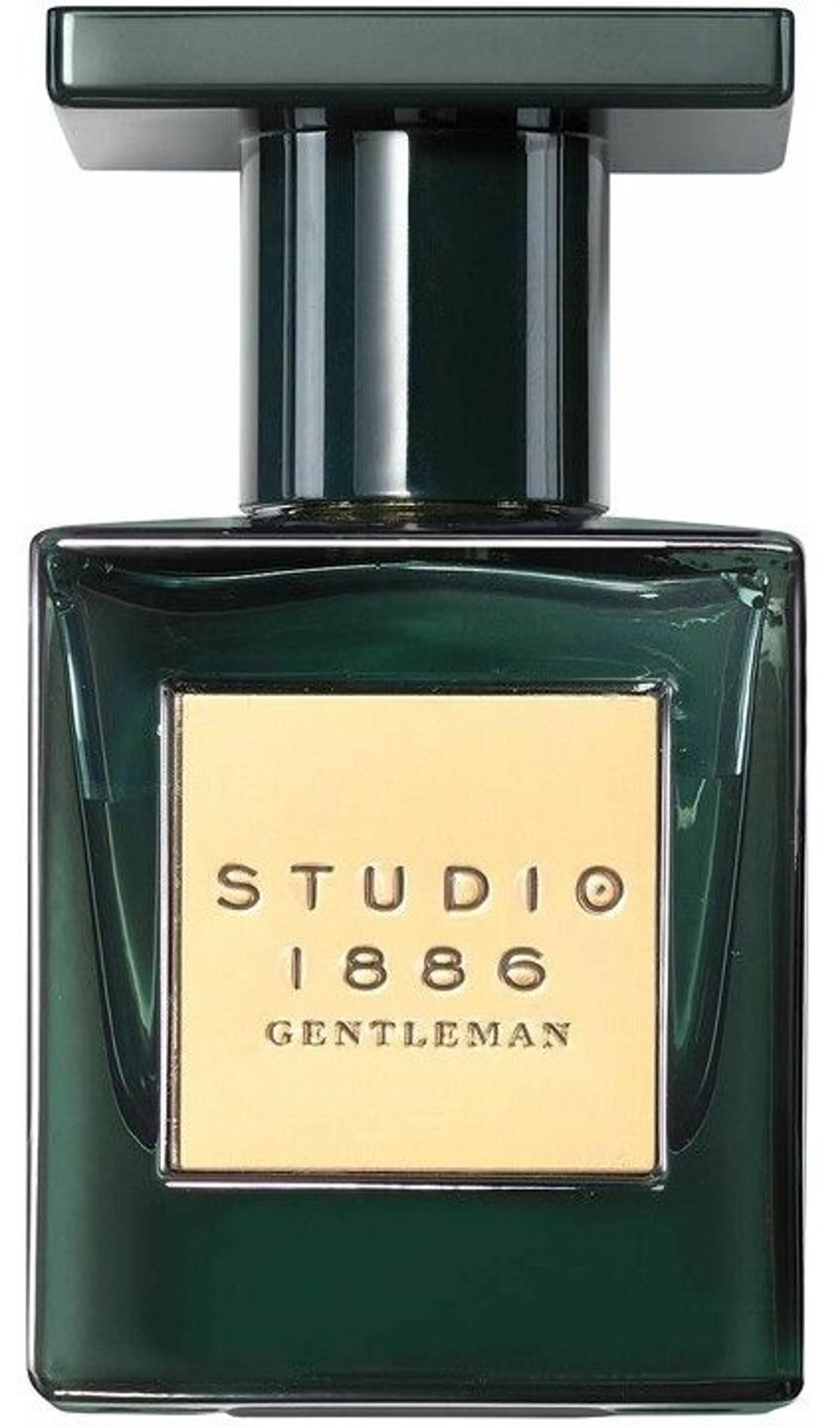 Studio 1886 Gentleman