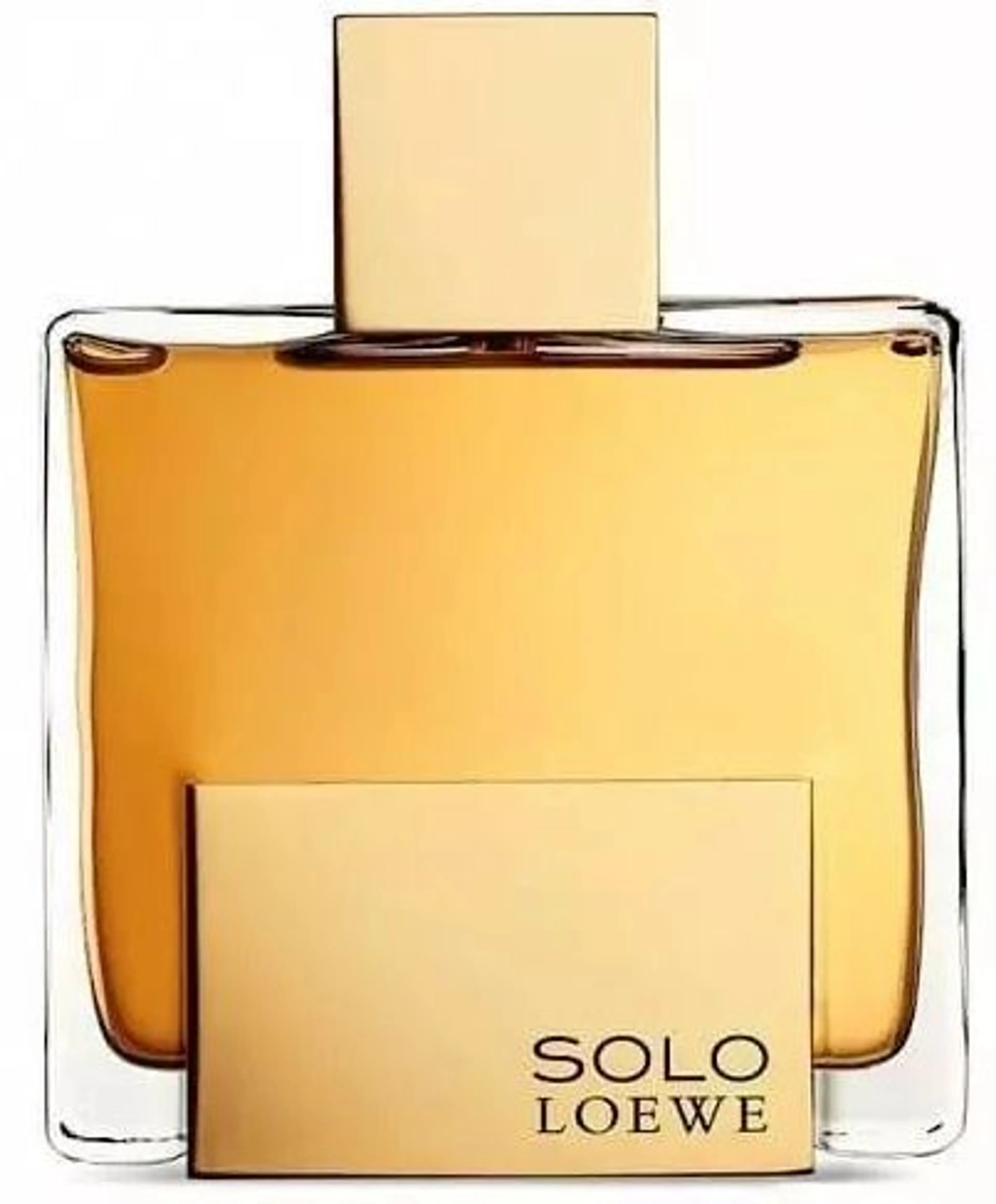 Solo Loewe Absoluto
