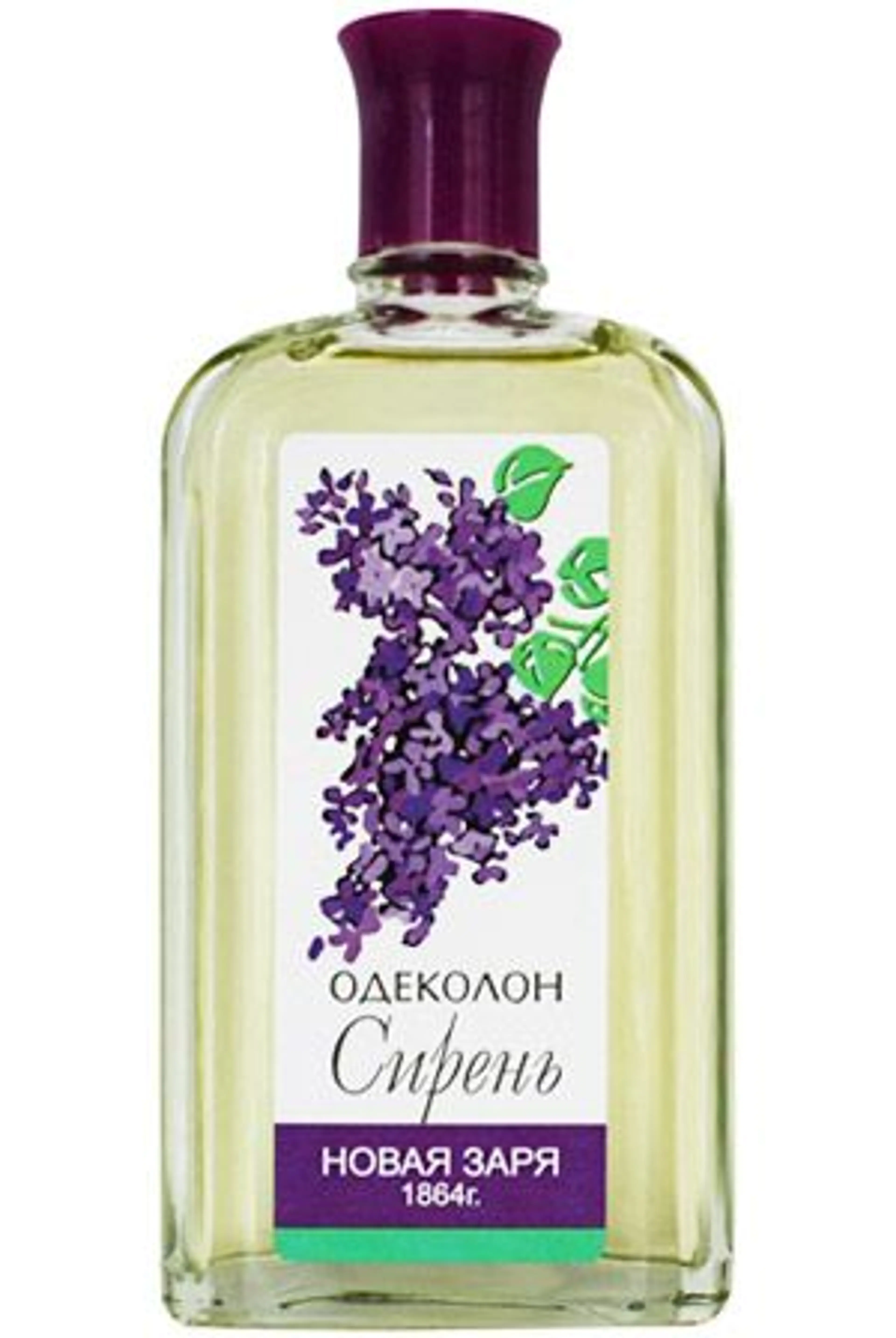 Сирень (Lilac)