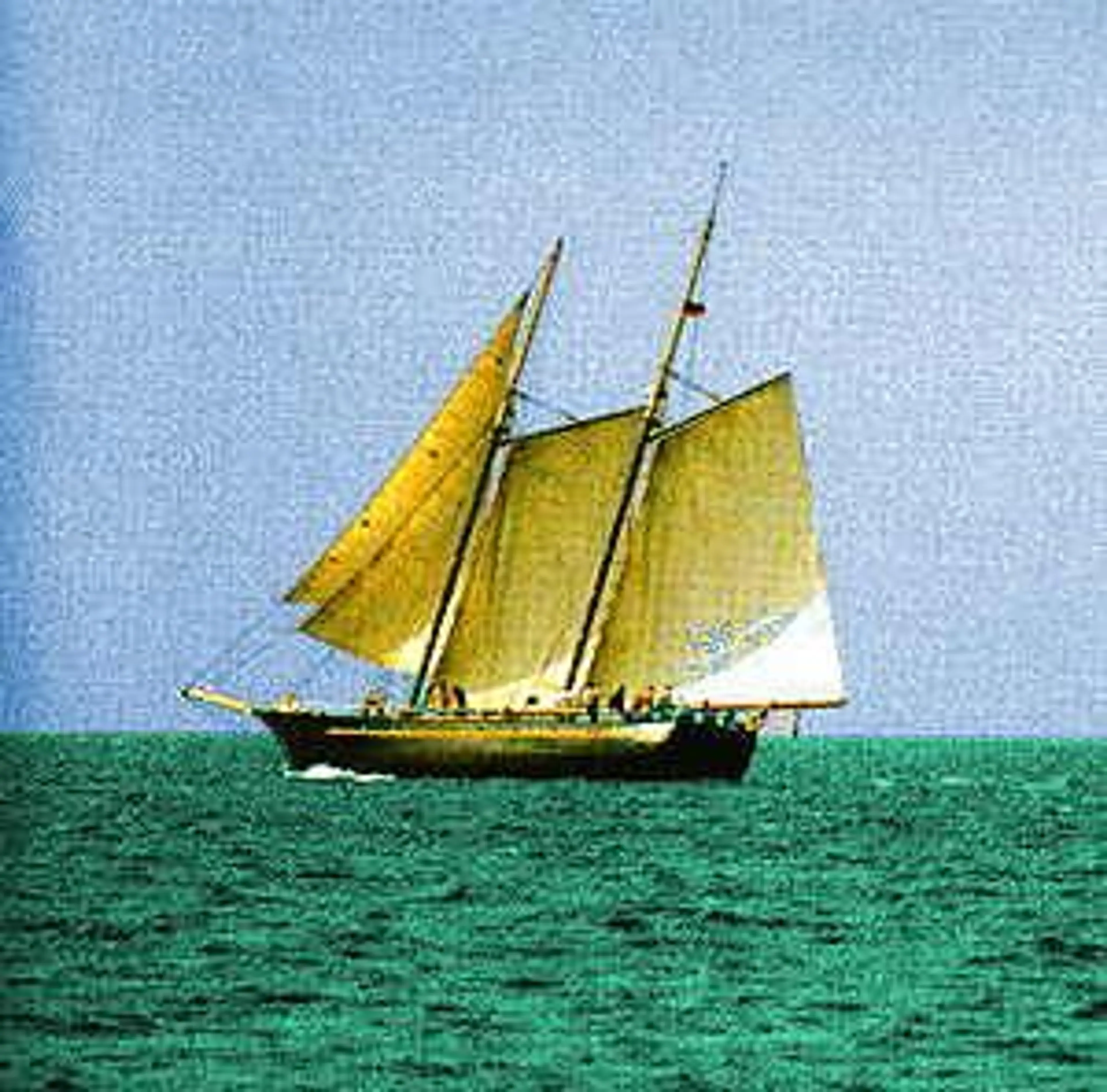 Sea Wood