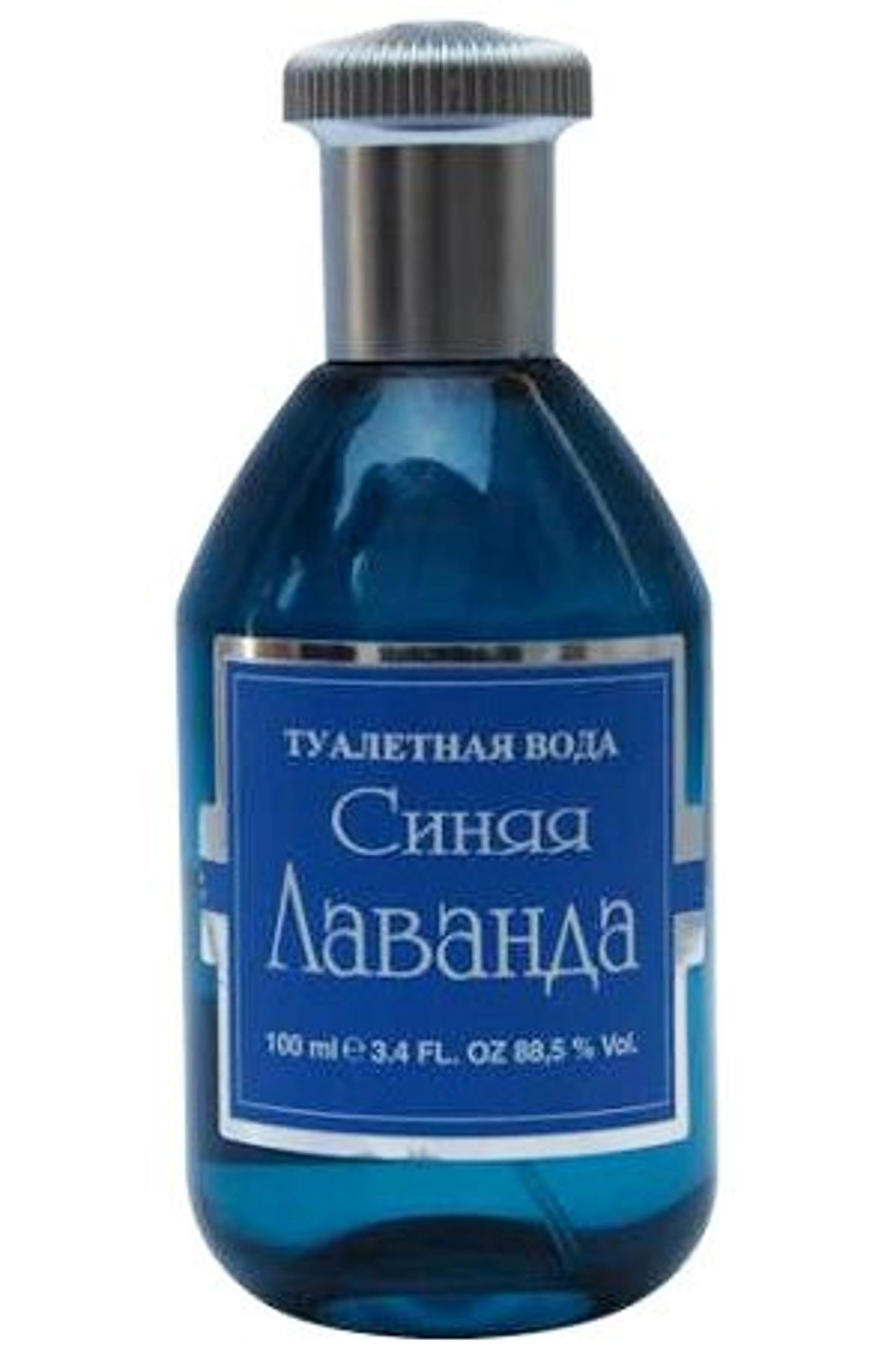 Синяя лаванда (Blue Lavender)