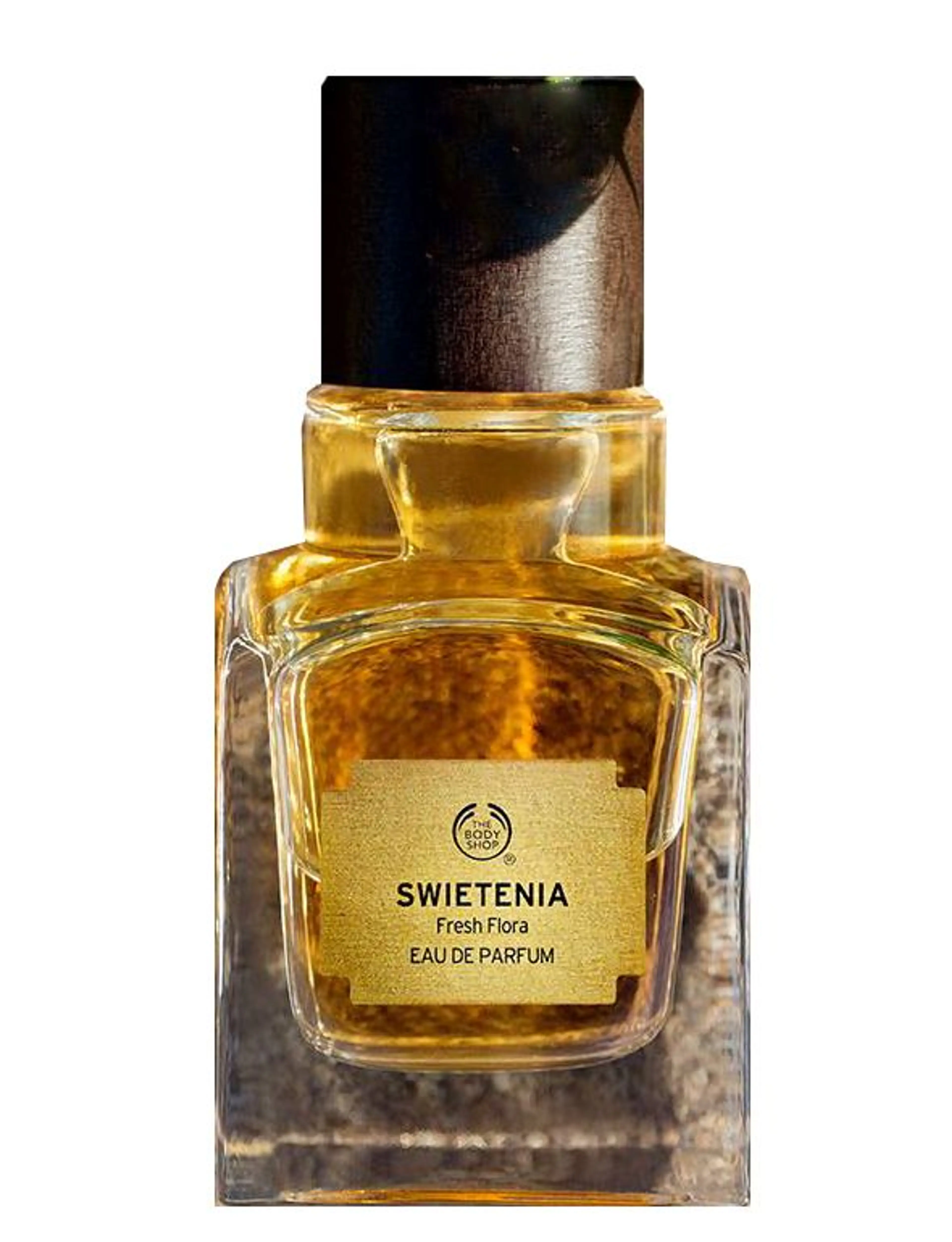 Swietenia
