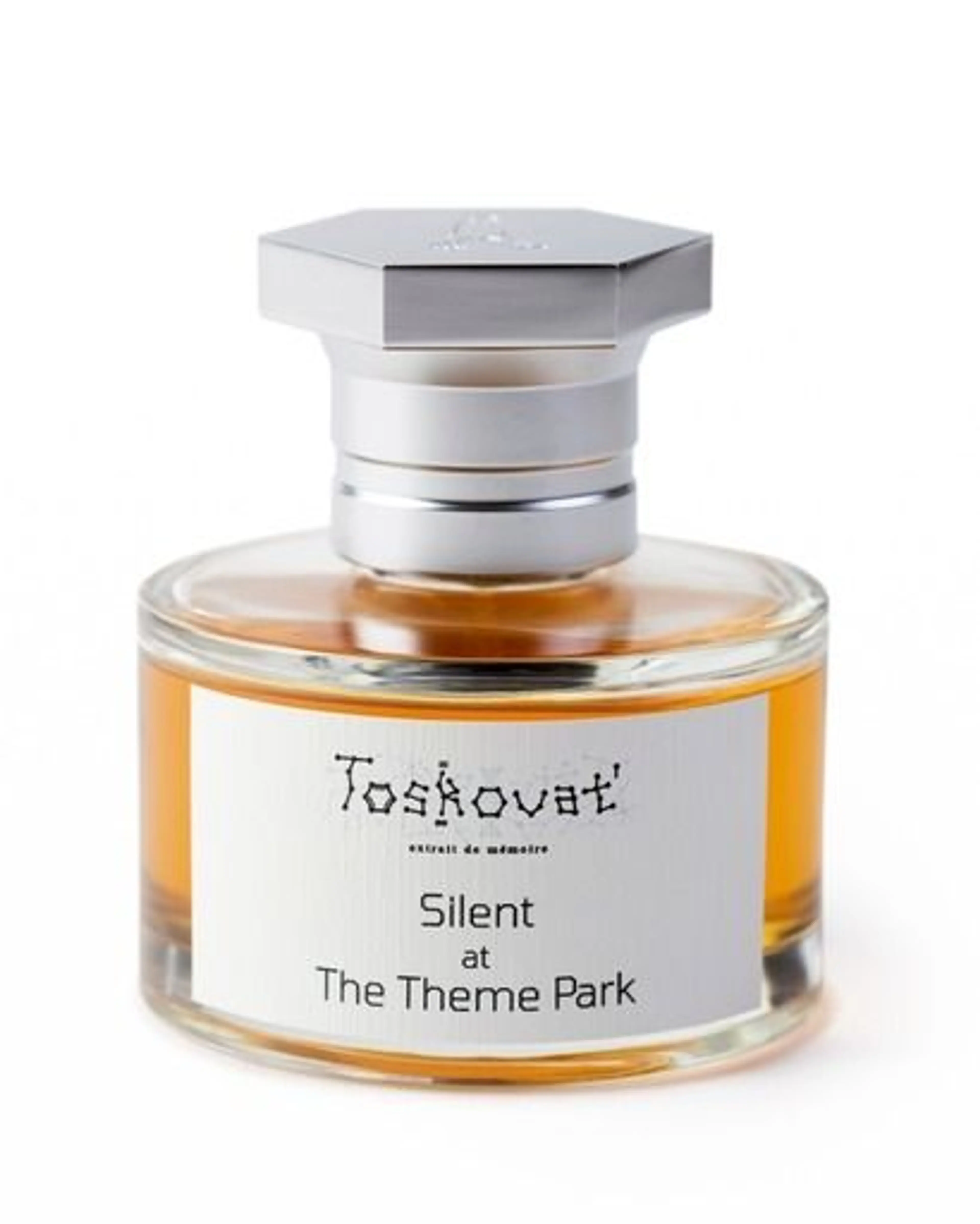 Silent at The Theme Park
