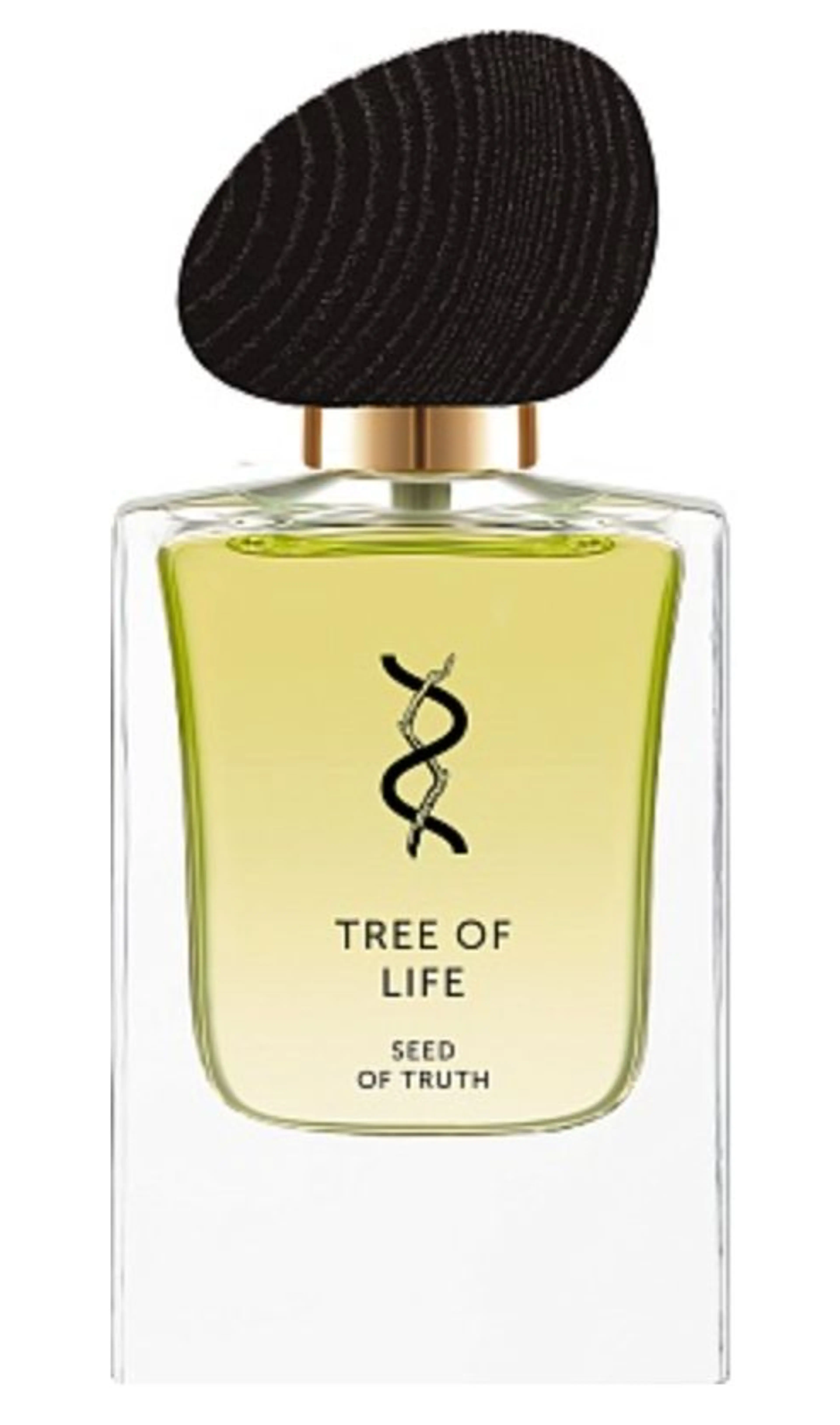 Seed of Truth
