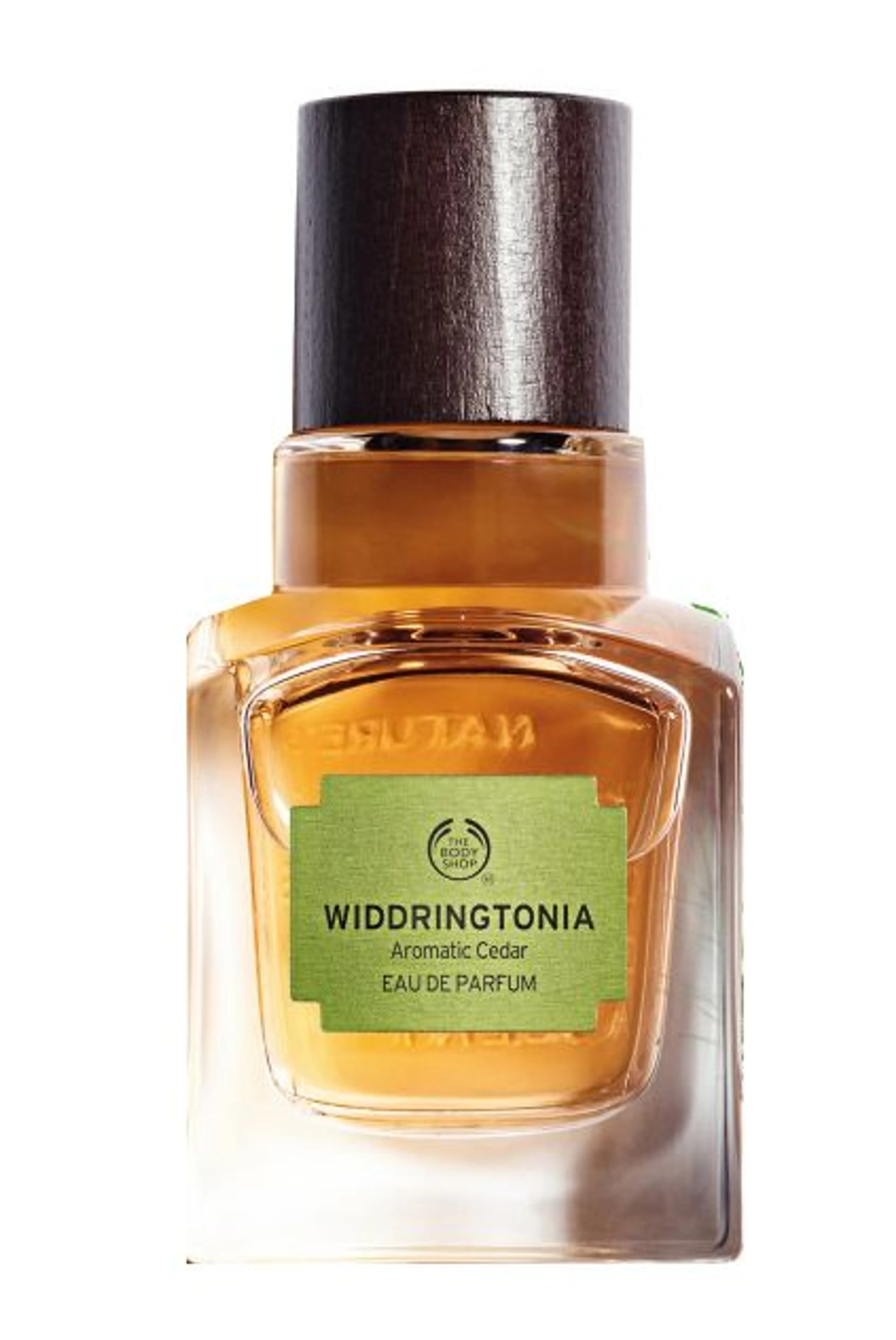 Widdringtonia